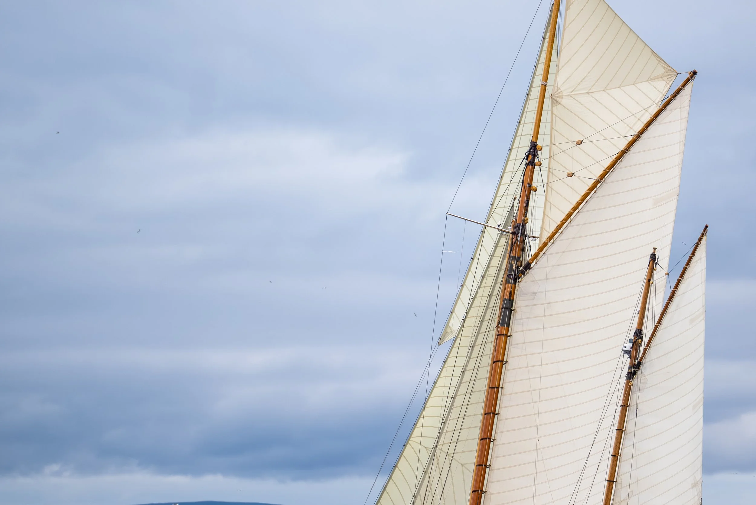 7953-Richard Mille Fife Regatta 2026 - Credit PKC Media .jpg