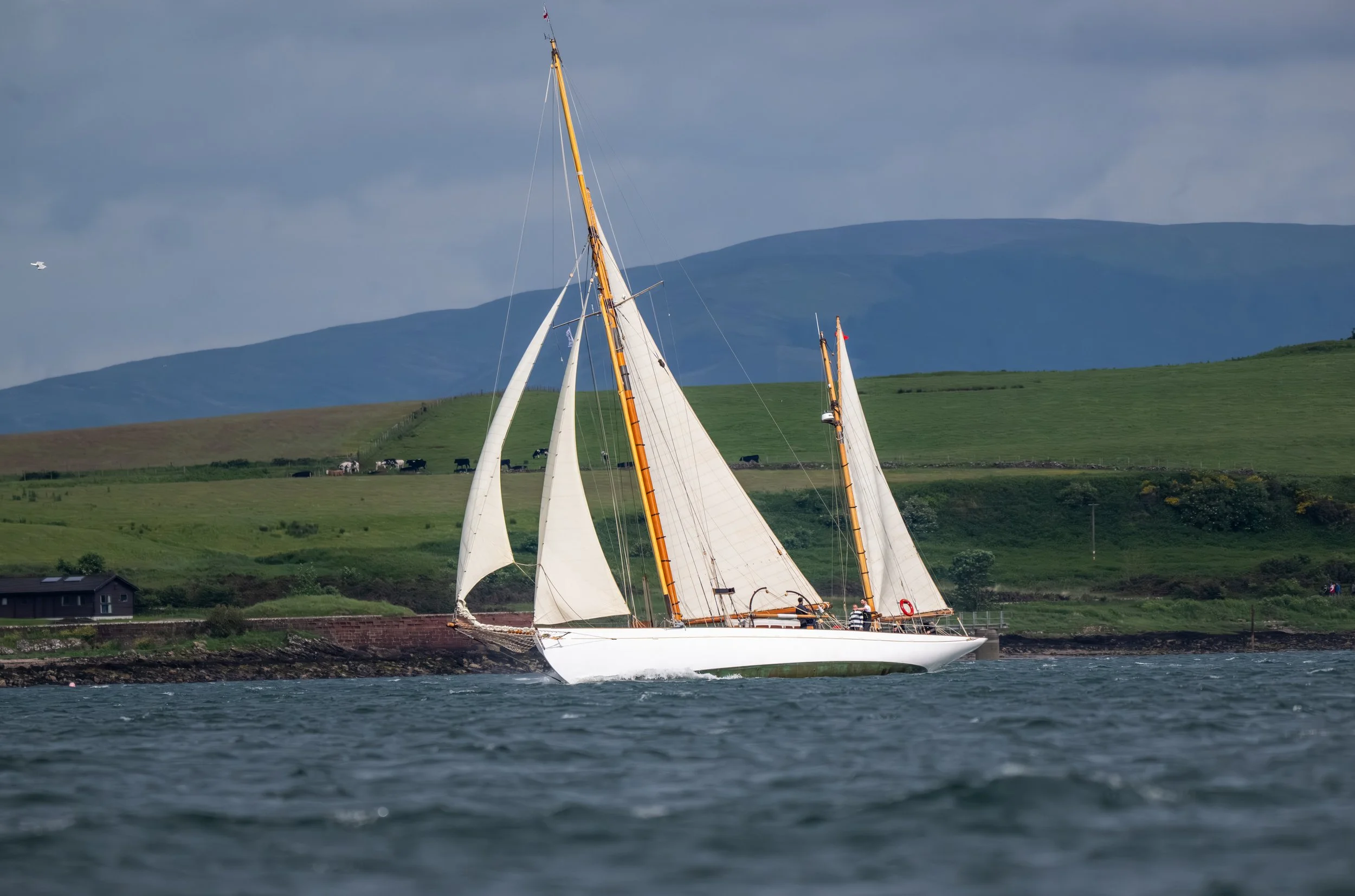 5223-Richard Mille Fife Regatta 2026 - Credit PKC Media .jpg