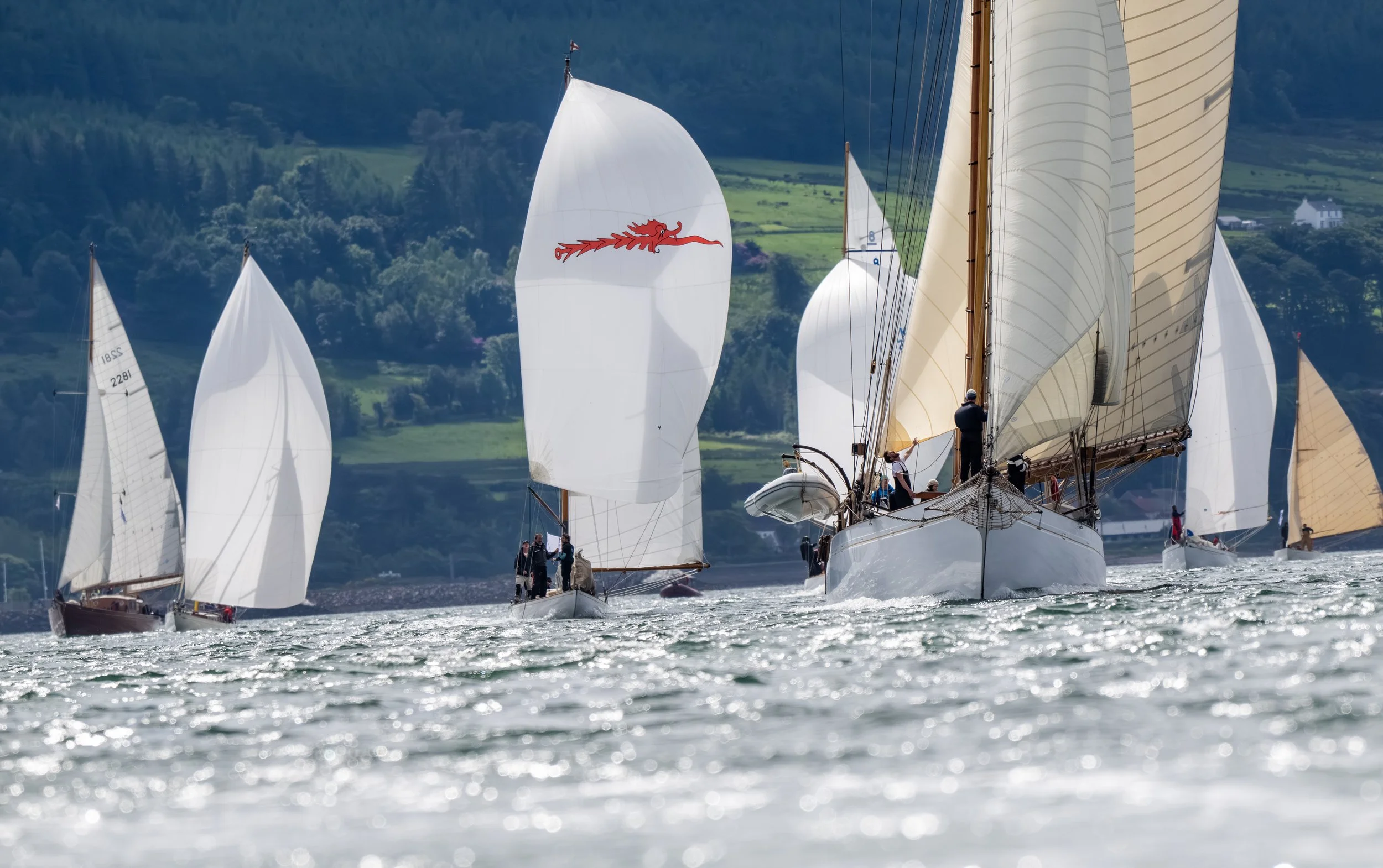 5259-Richard Mille Fife Regatta 2026 - Credit PKC Media .jpg