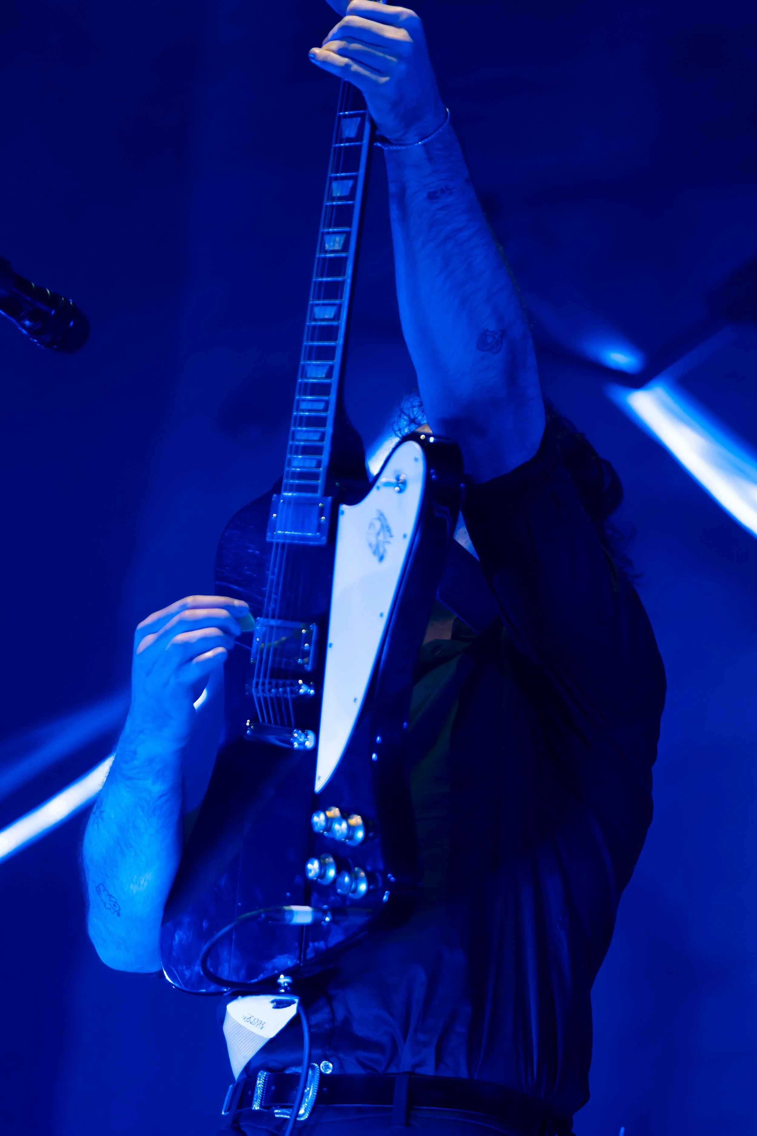 DSC01665.jpg