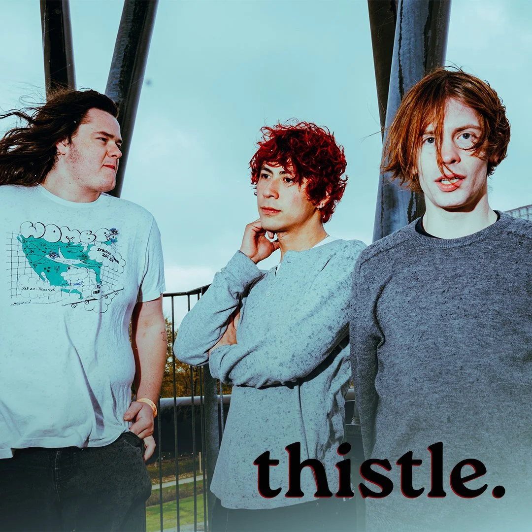 thistle.jpg