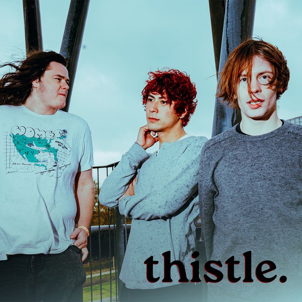 thistle.jpg