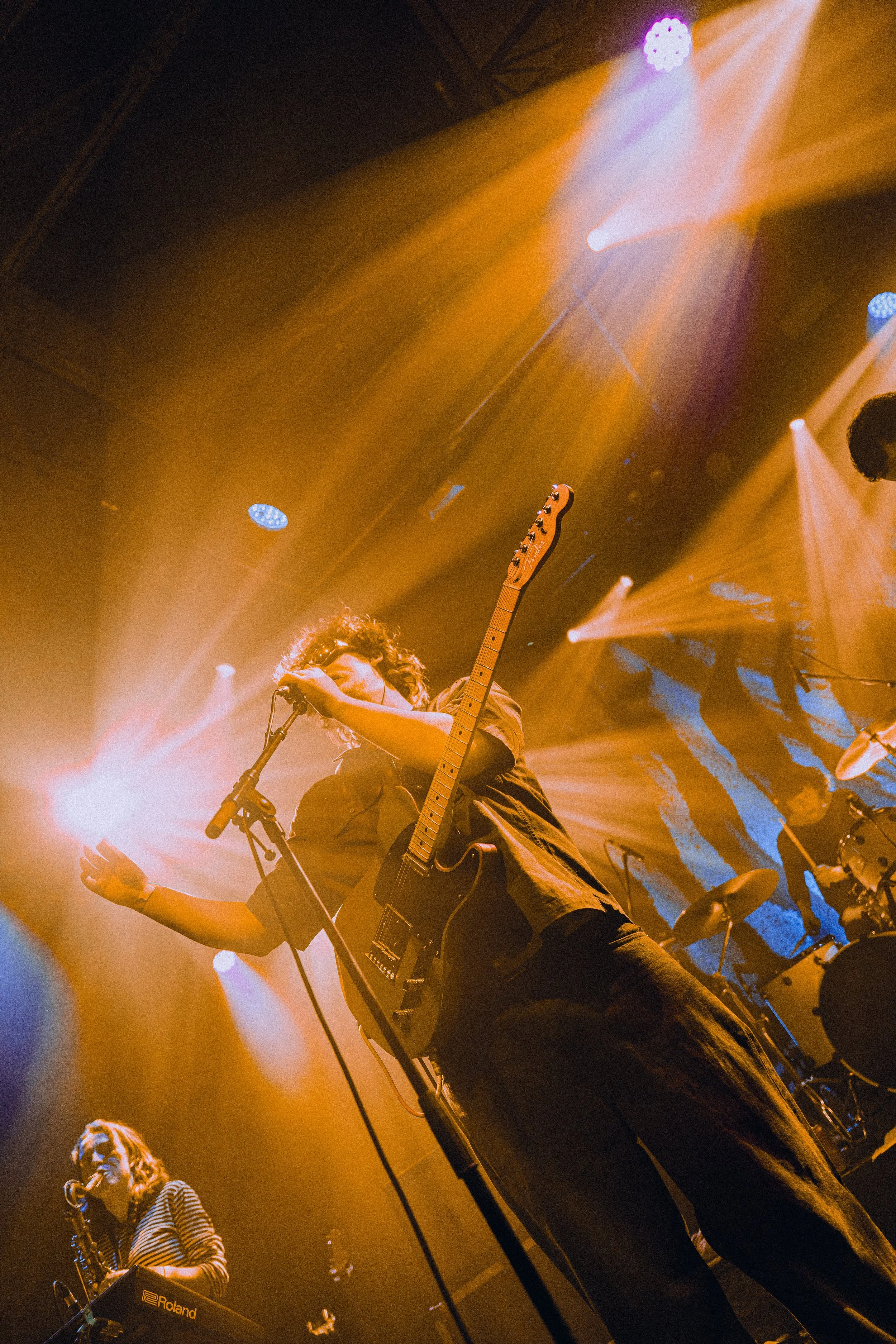 Fat Dog (c) Harry Proctor.jpg