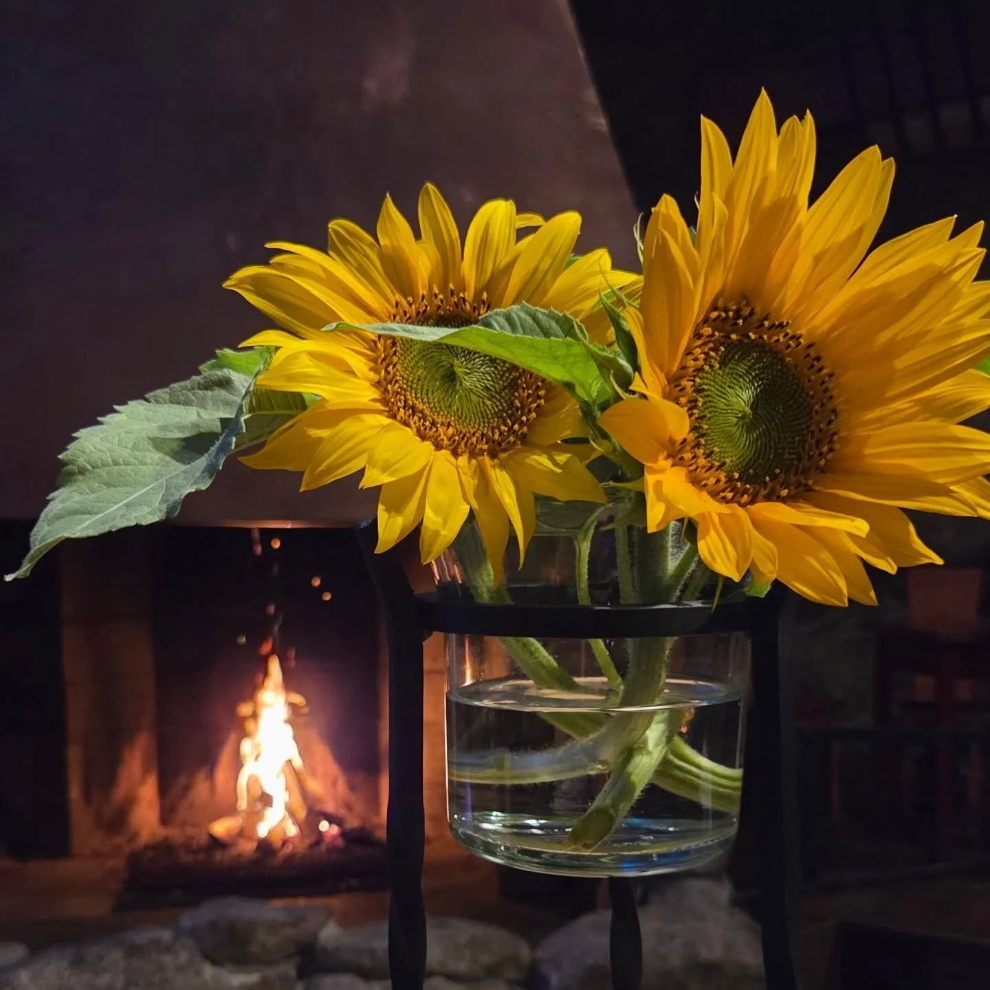 🌼🔥