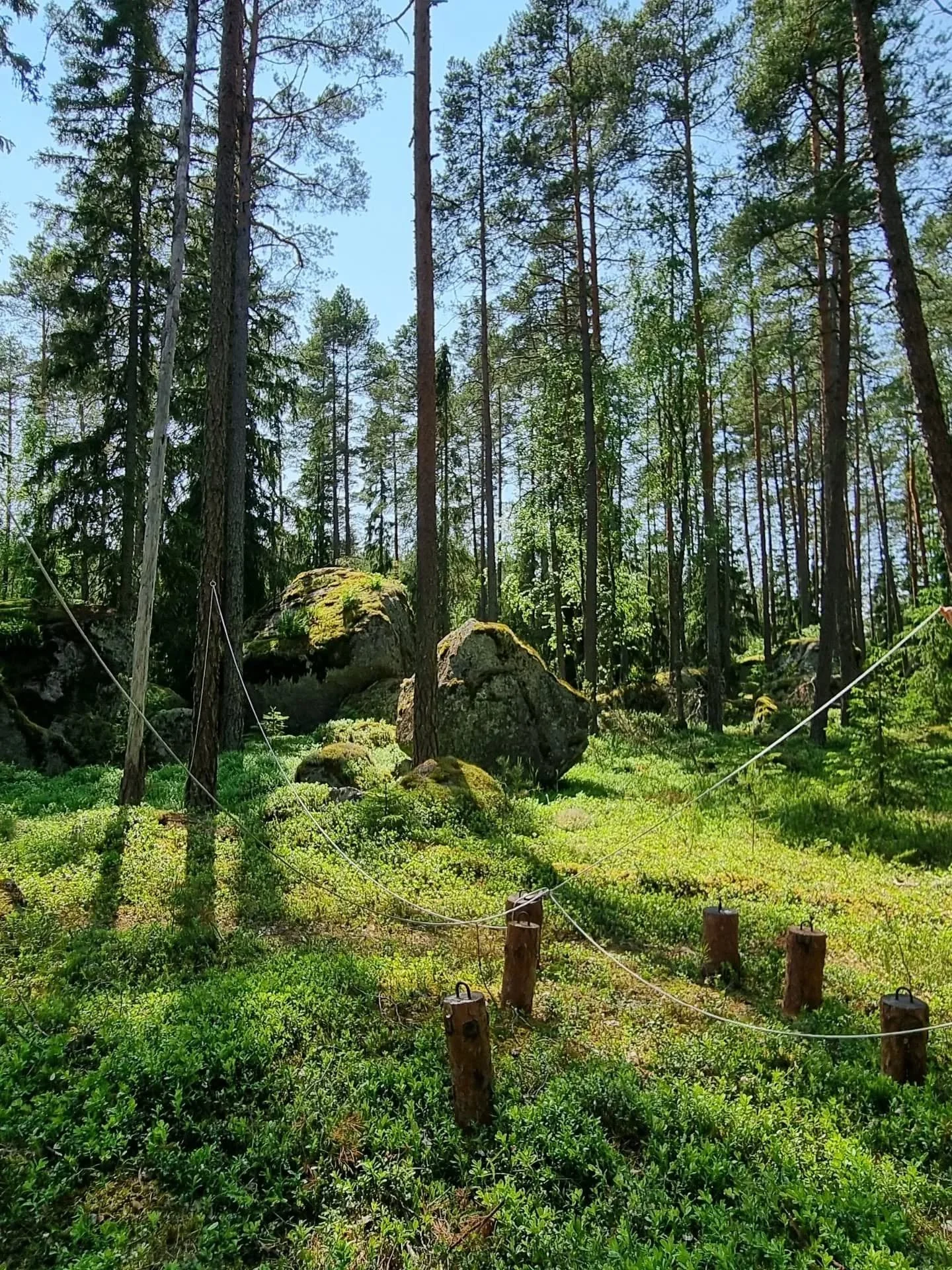 Tyky-p&auml;iv&auml; Louhenlinnalla 🌿

🪨 Siirtolohkareiden v&auml;liss&auml; kiemurteleva luontopolku h&ouml;ystettyn&auml; kiperill&auml; kysymyksill&auml; 
🪨 P&ouml;lkkyjen pinoaminen yhteisvoimin
🪨 &quot;Hiiren&quot; mojautus
🪨 Herkullinen lo