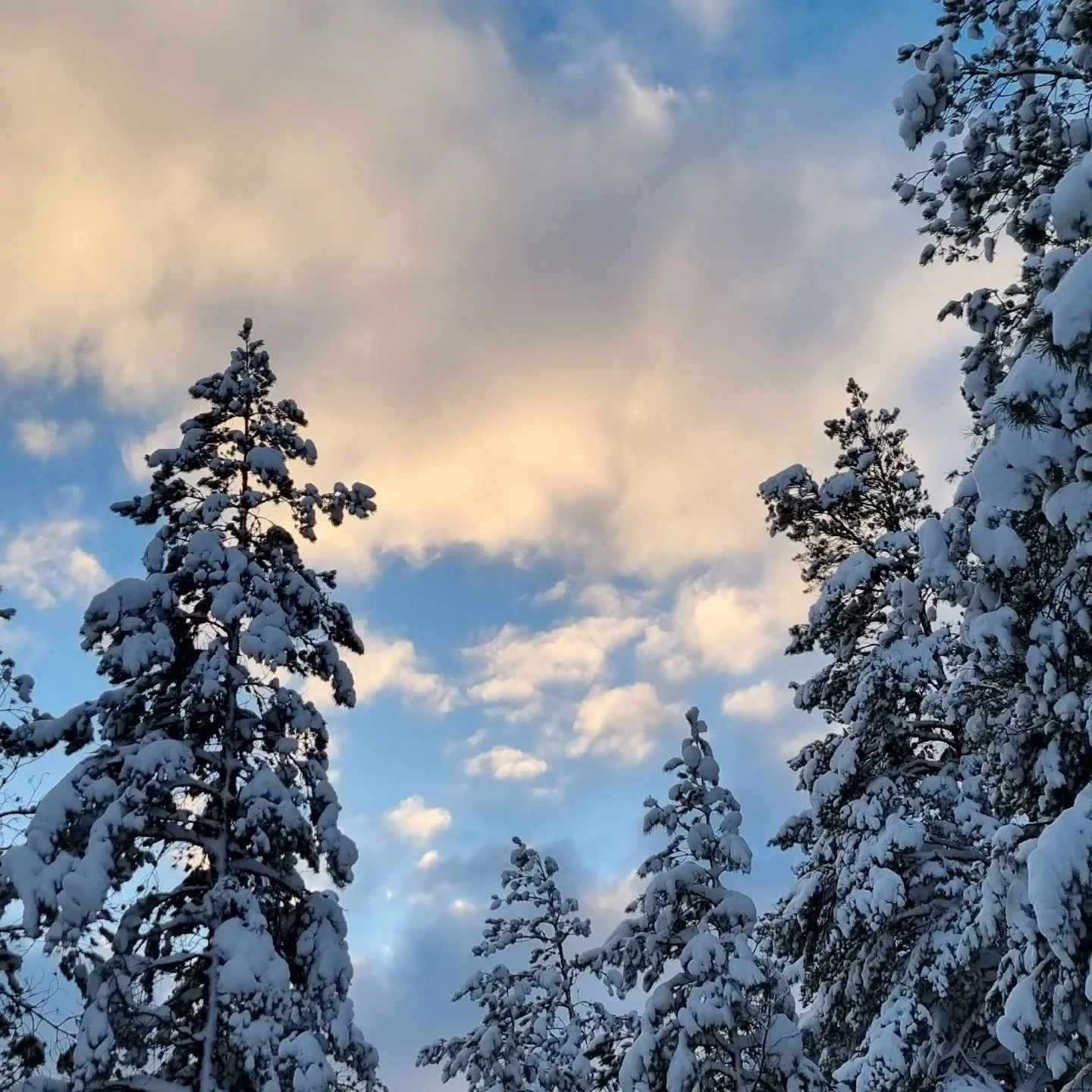 Louhenlinnalla riitti vilskett&auml; viikonloppuna, kun siell&auml; juhlittiin ensin pikkujouluja, sitten h&auml;it&auml; ja sunnuntaina viel&auml; Jysken yleisurheilukauden p&auml;&auml;t&ouml;st&auml; ❄️ 
Ja voi miten s&auml;&auml; suosikaan h&auml