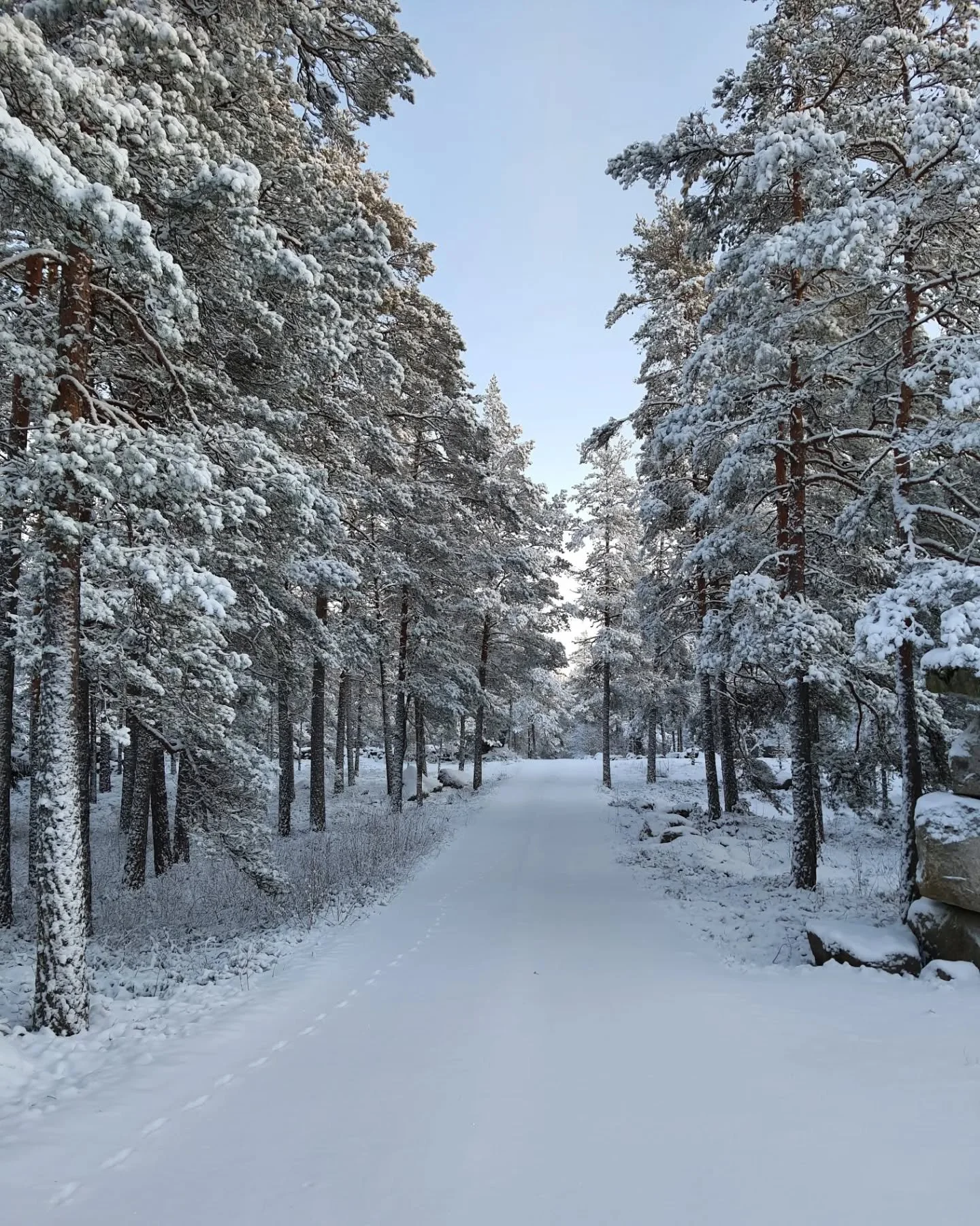 Kiitos kaikille kuluneesta vuodesta ja oikein ihanaa uutta vuotta! 🥂 N&auml;hd&auml;&auml;n taas ensi vuonna juhlien merkeiss&auml; 🥳