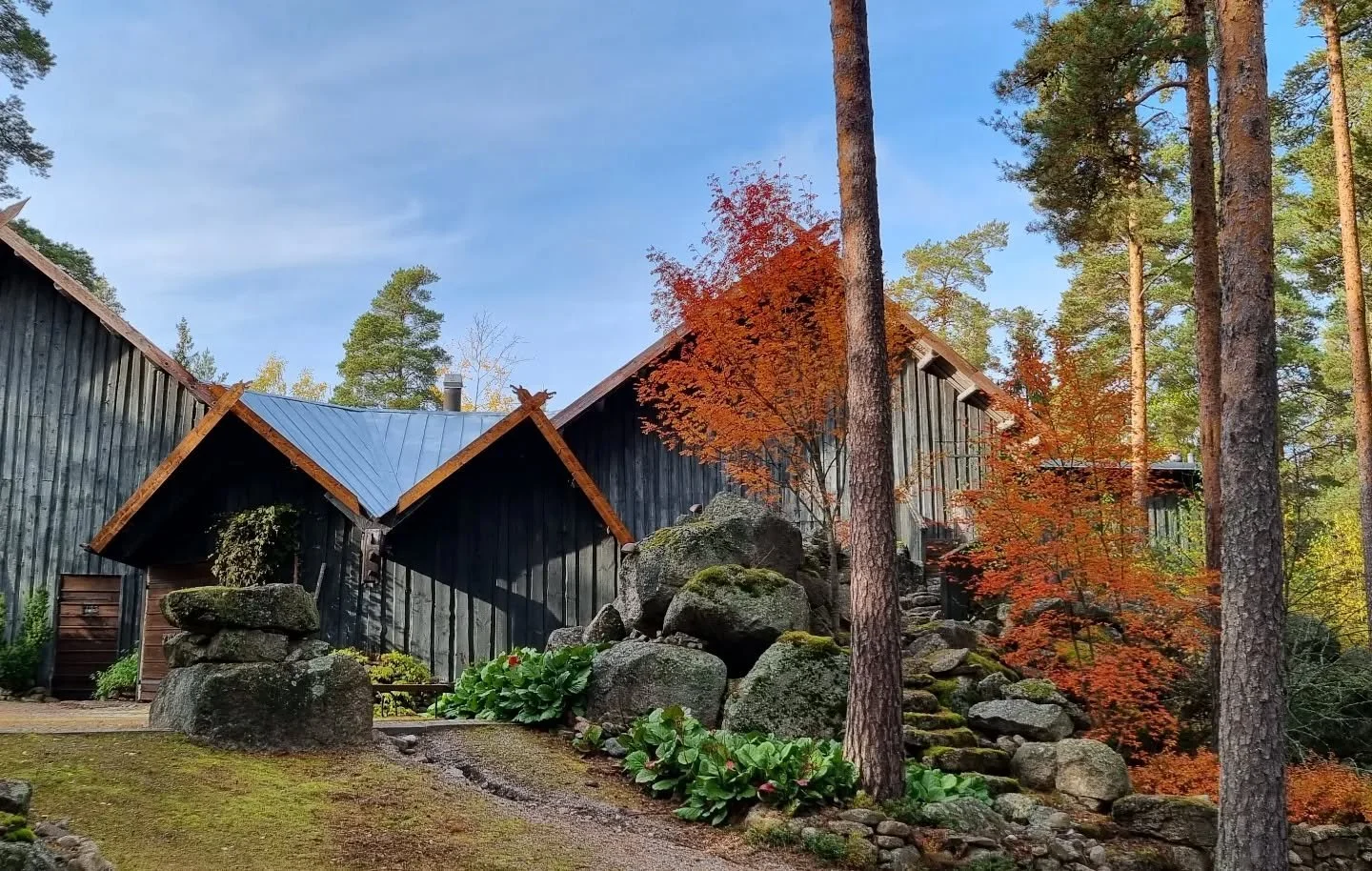 Louhenlinnaa ymp&auml;r&ouml;iv&auml;t nyt ruskan v&auml;rit 🍁🍂