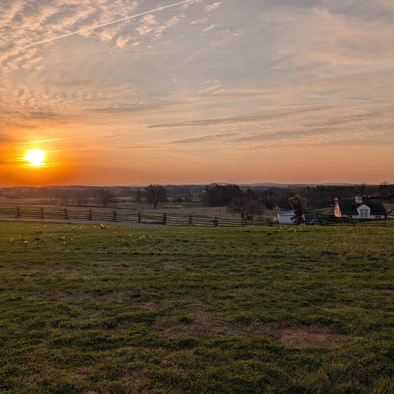 The second part of my multi-day botanical art trip is at Oak Spring Garden Foundation deep in Virginia's horse country. The home of Bunny and Paul Mellon.
The foundation has invited 12 artists from across the country to propose designs for a quilt. T