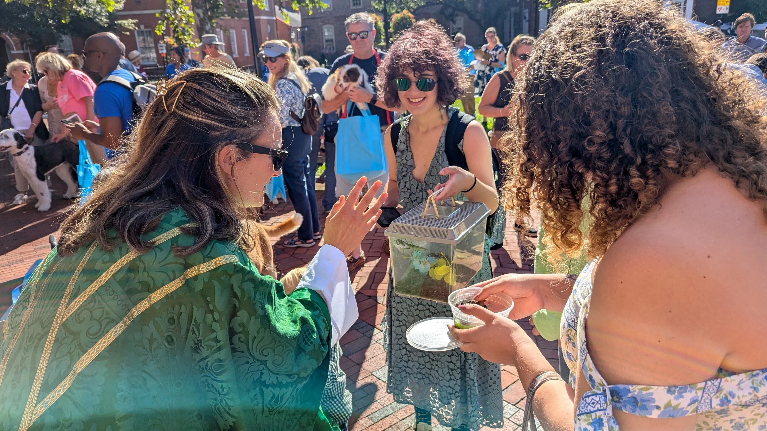 Blessing Cockroach and Praying Mantiss.jpg