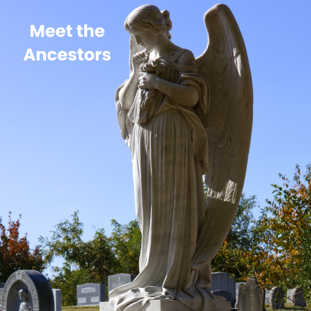 Meet the Ancestors