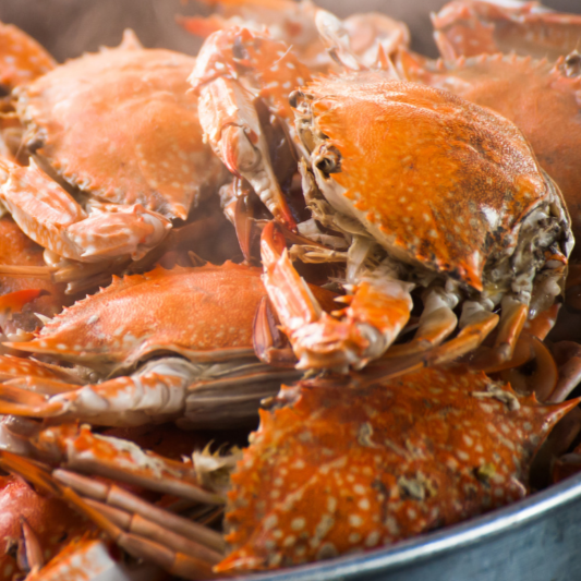 Join St. Anne’s TRM at the St. Philip’s Crab Feast