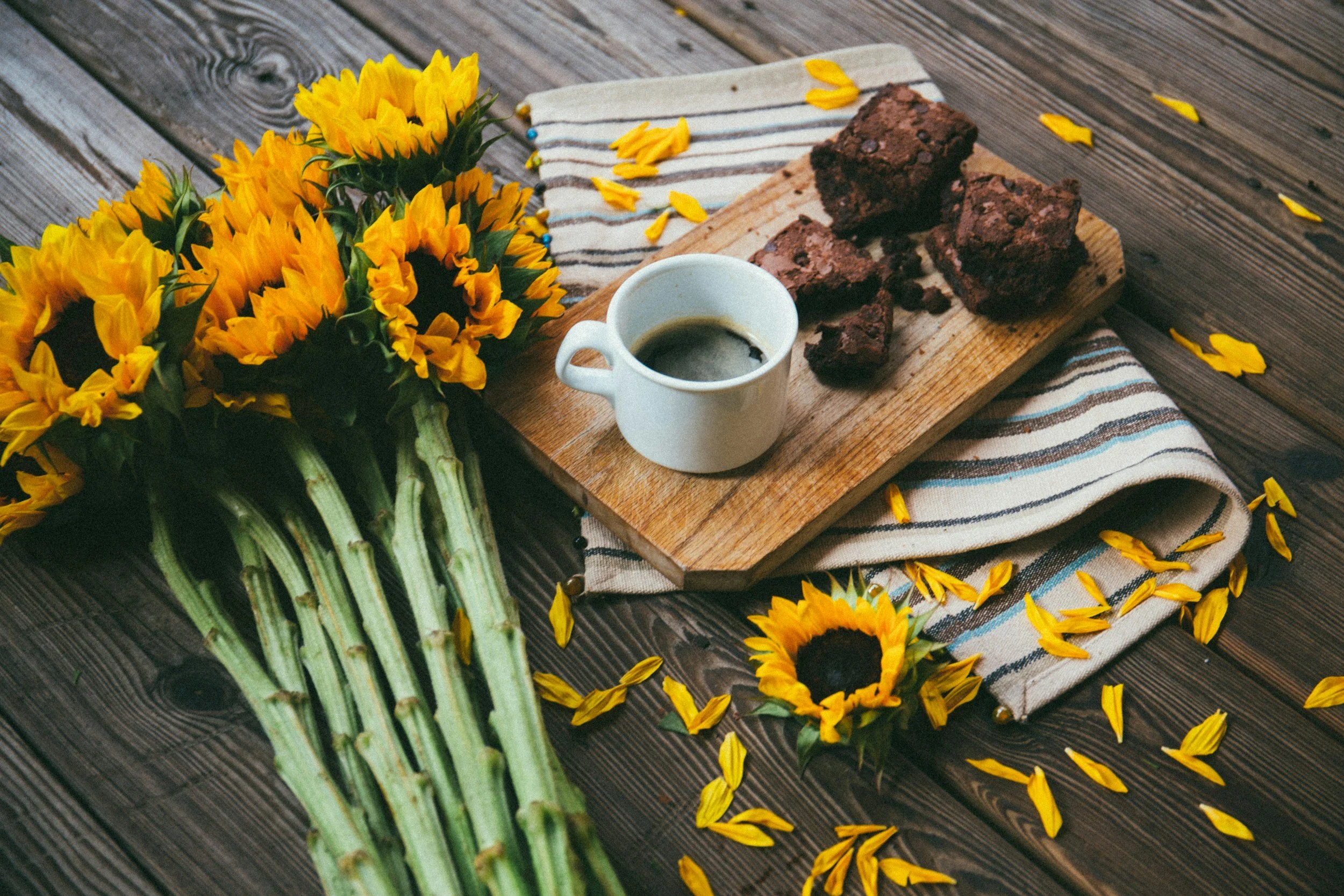 Summer Hospitality with Women’s Bible Study