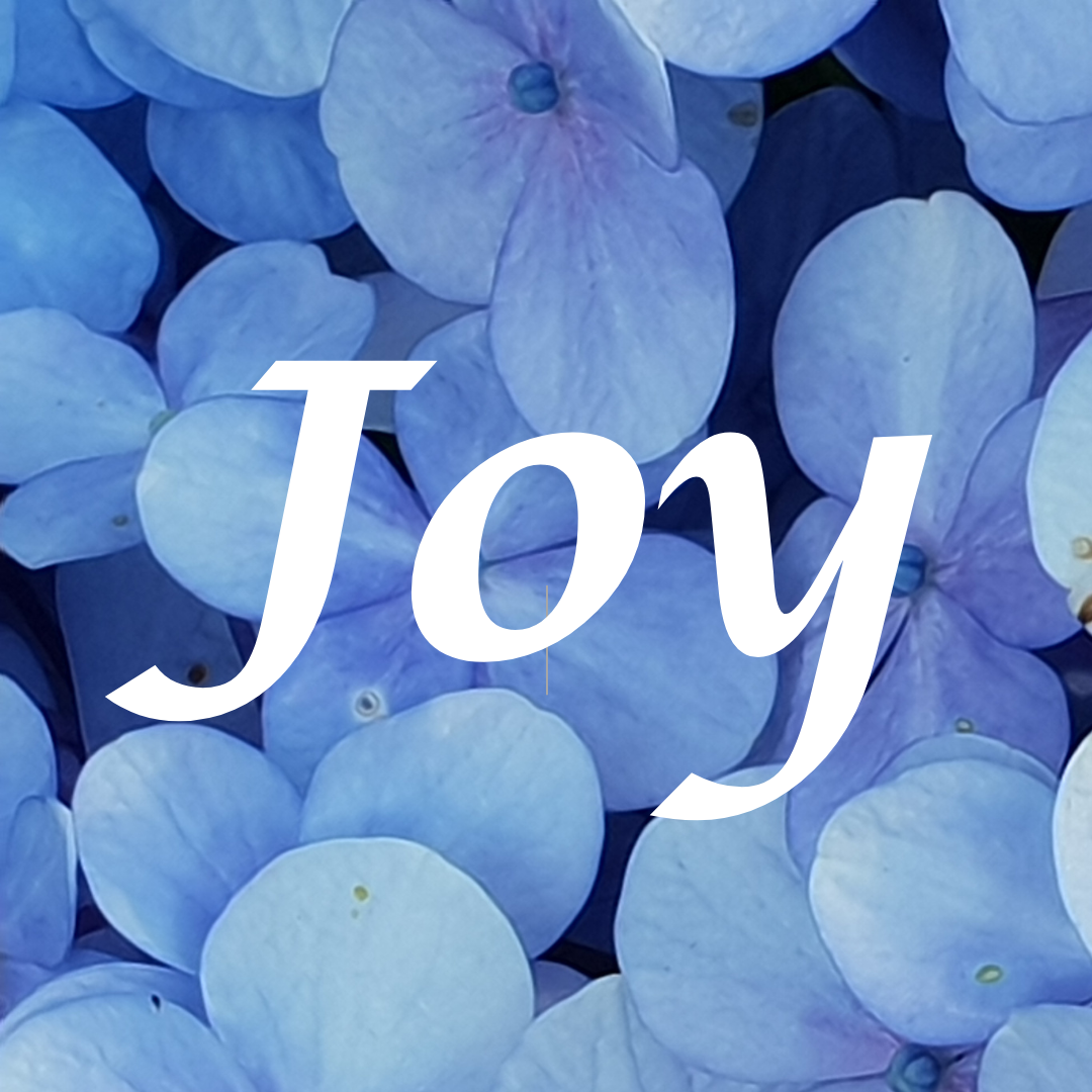 Little Moments, Lasting Joy
