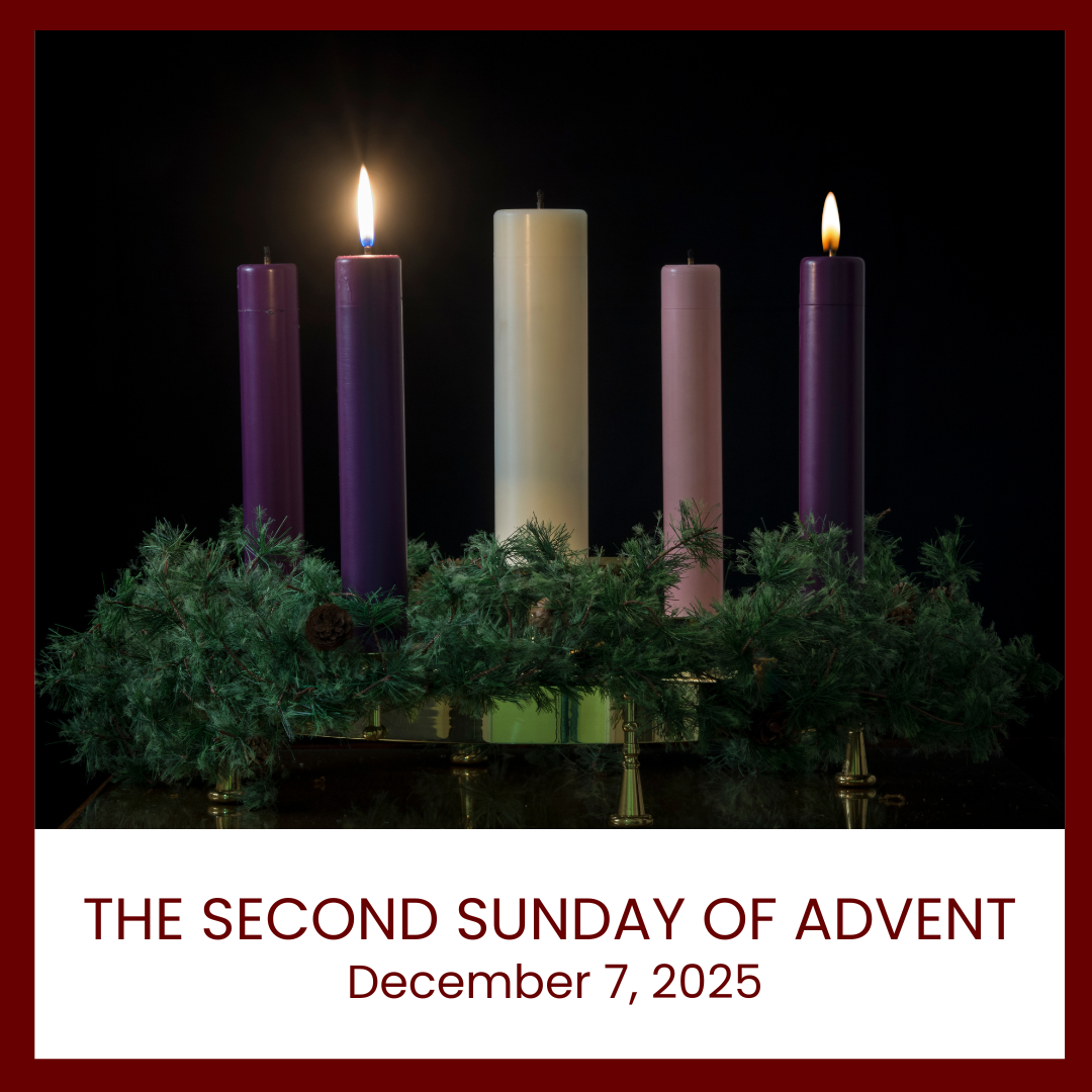 Advent Graphics Dec 7.png