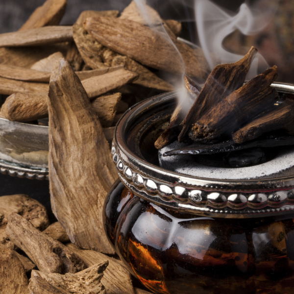 From the East to the West: Oud's Influence on Global Fragrance Trends
