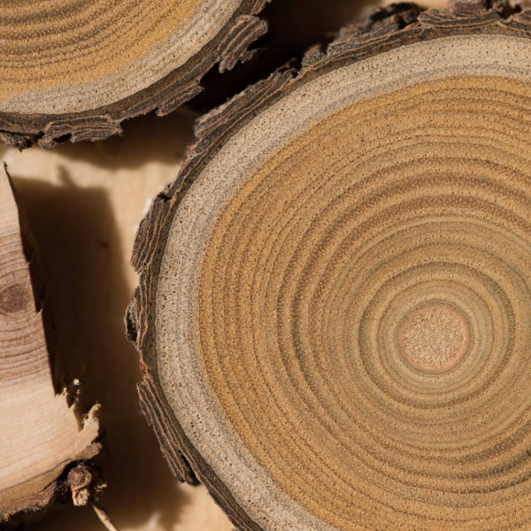 Image of Sandalwood: shutterstock.com/kutcenko