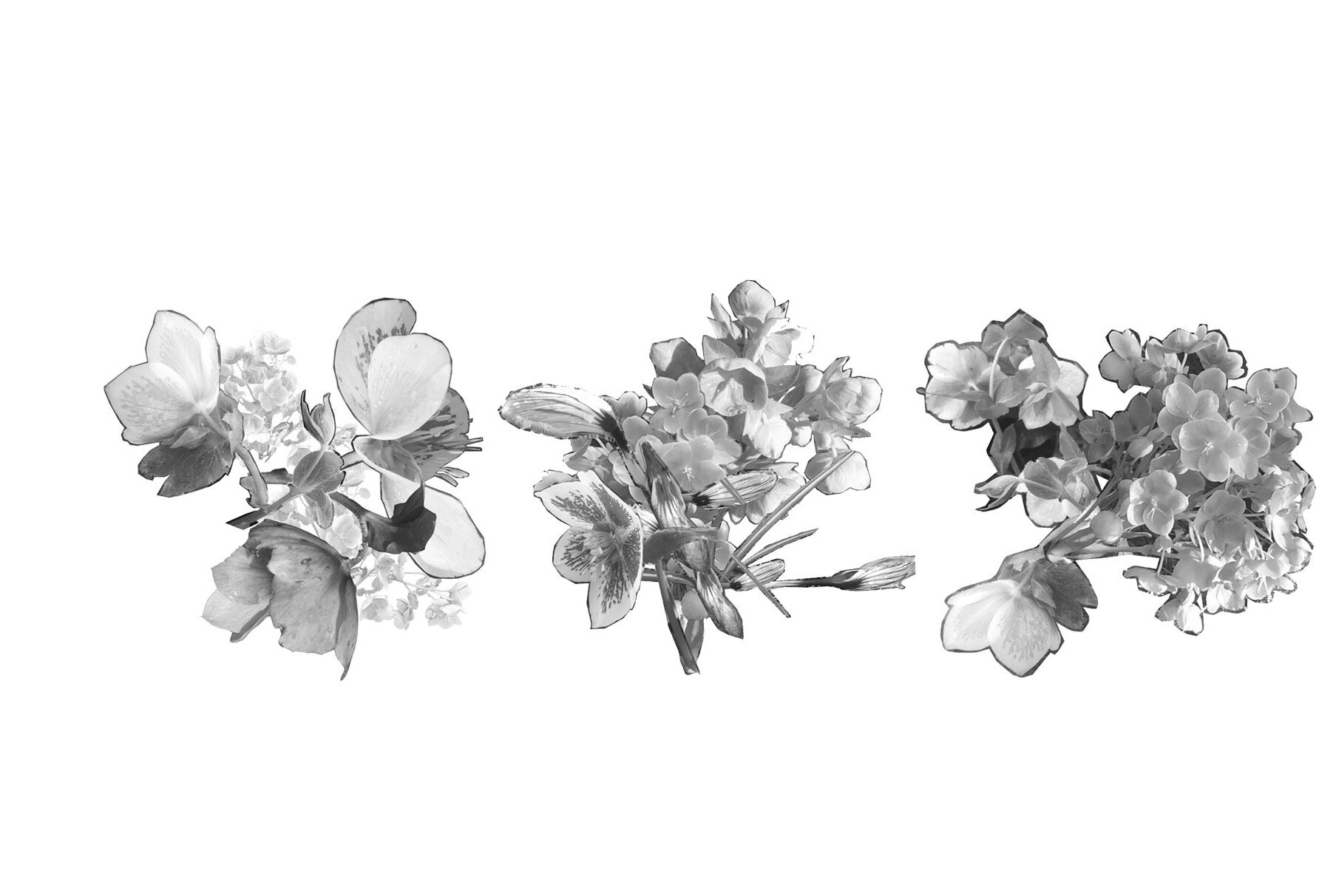 rearranged moodboard flowers.jpg