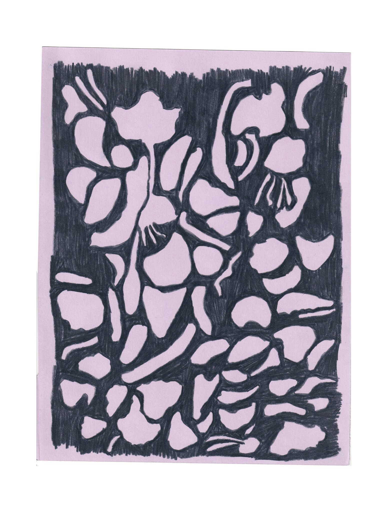 pinknavyworkgraph.jpg