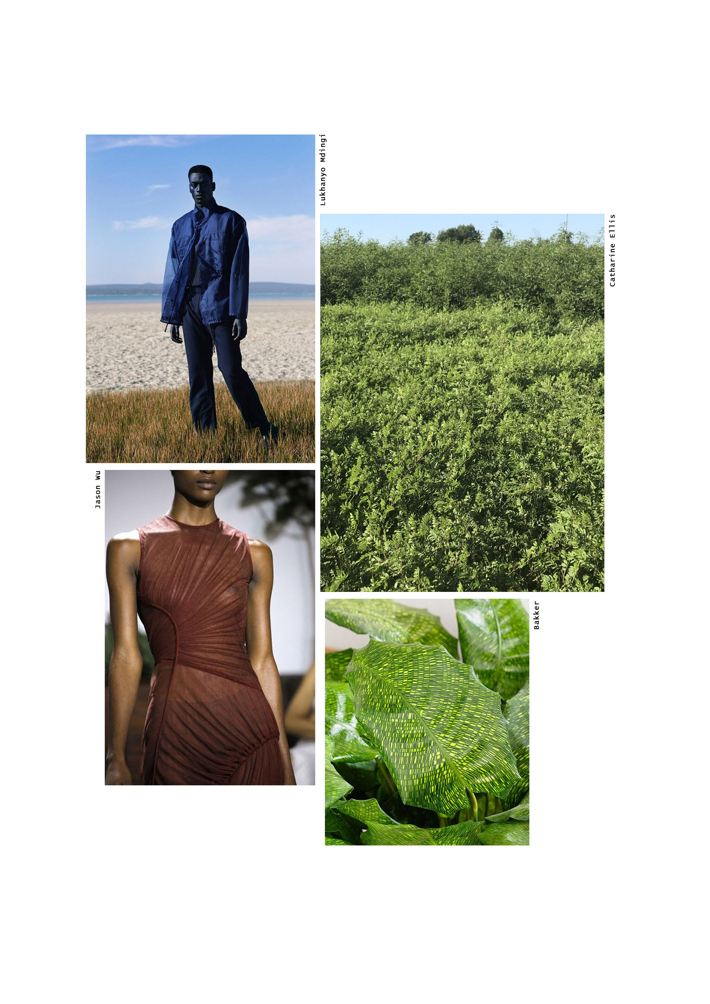 Concept moodboard