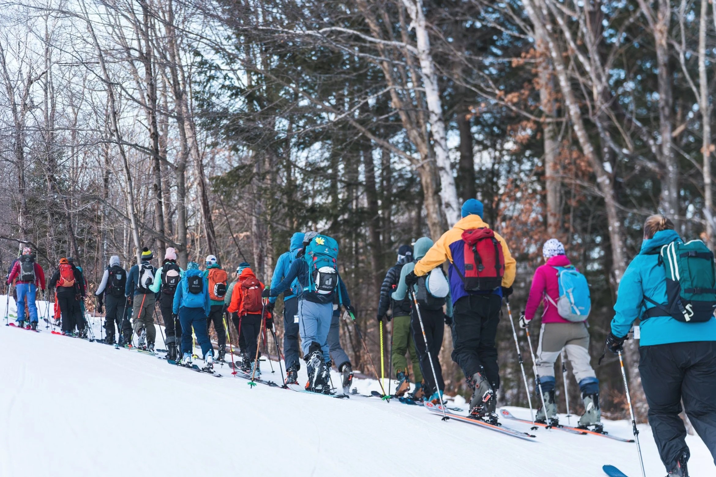 Participants skinning uphill together at Bromley