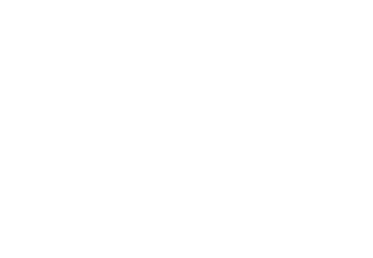 Blizzard Tecnica Women 2 Women