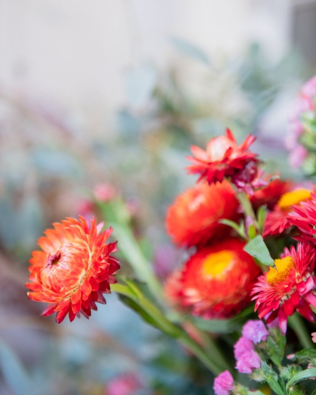 &ldquo;Que lindas son las flores, ninguna compite con su belleza con la otra, al contrario... Se resaltan unas con otras&rdquo; 
.
.
.
@milramasflores 
.
.
.
.
.

#fotografoschile #fotografomatrimonio #fotografos #photographerschile #fotografobodasba