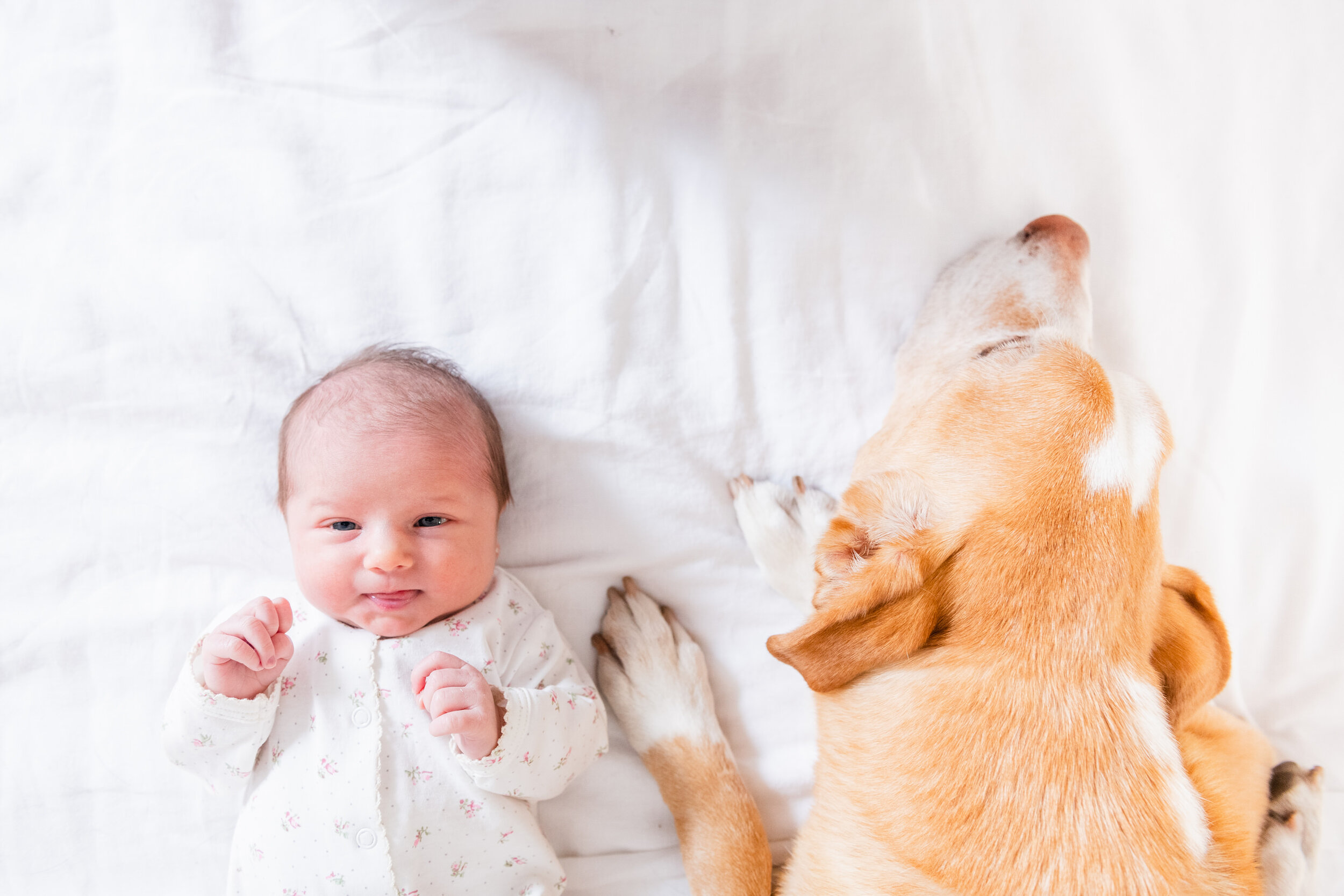 NACIMIENTO_VIVIENNE_CAMI (104 de 160).jpg