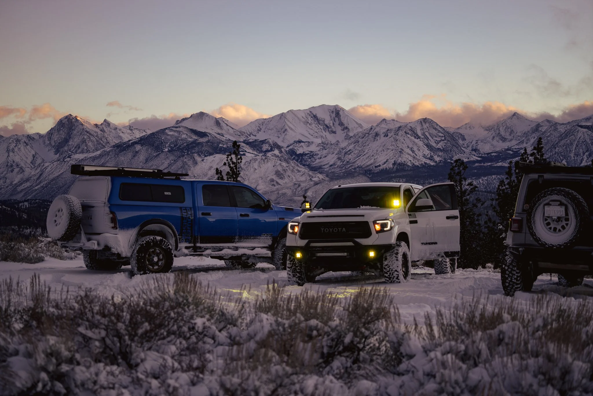 Shock Surplus Case — Convermax