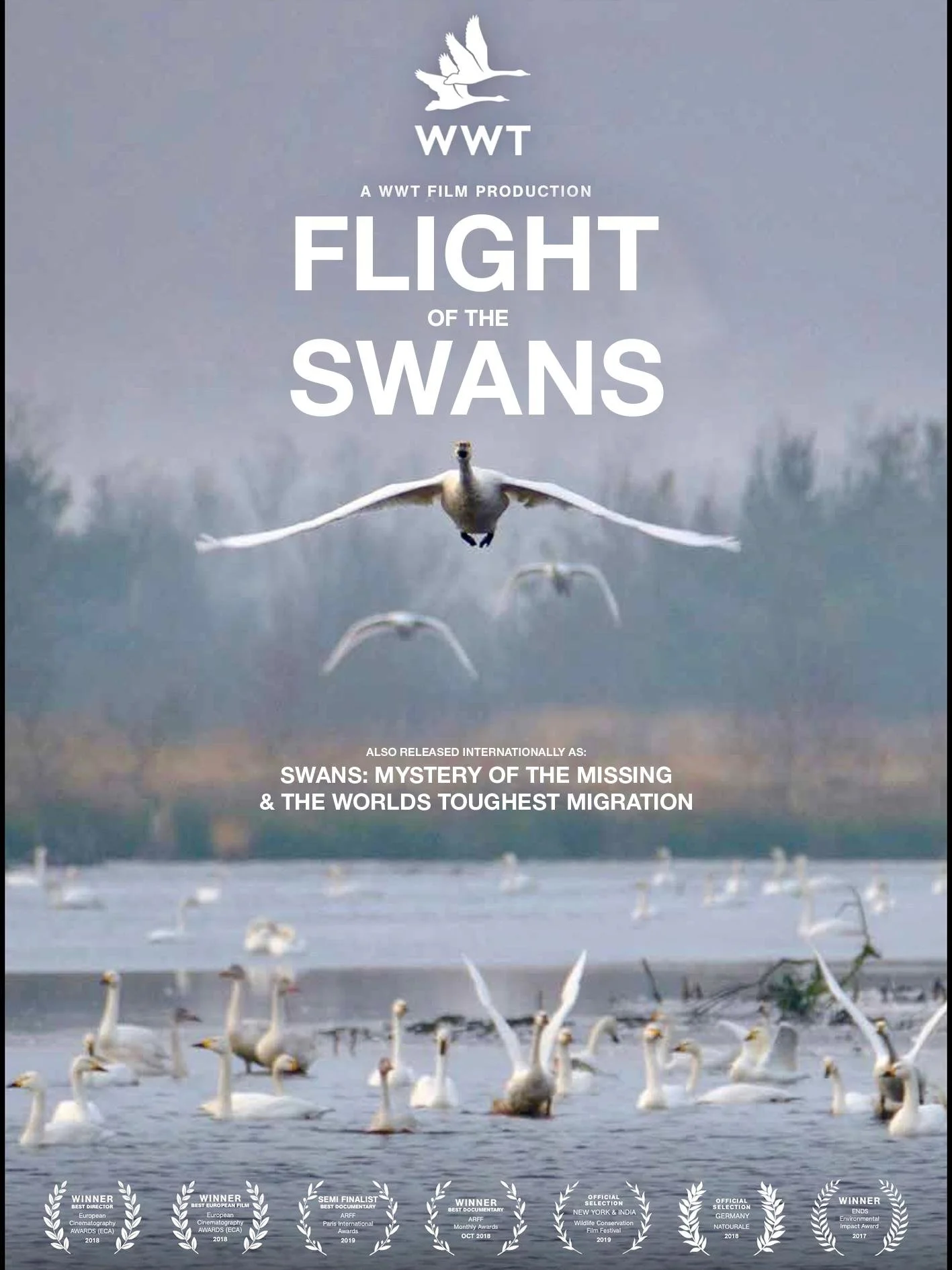 [FLIGHT OF THE SWANS] COMPOSER