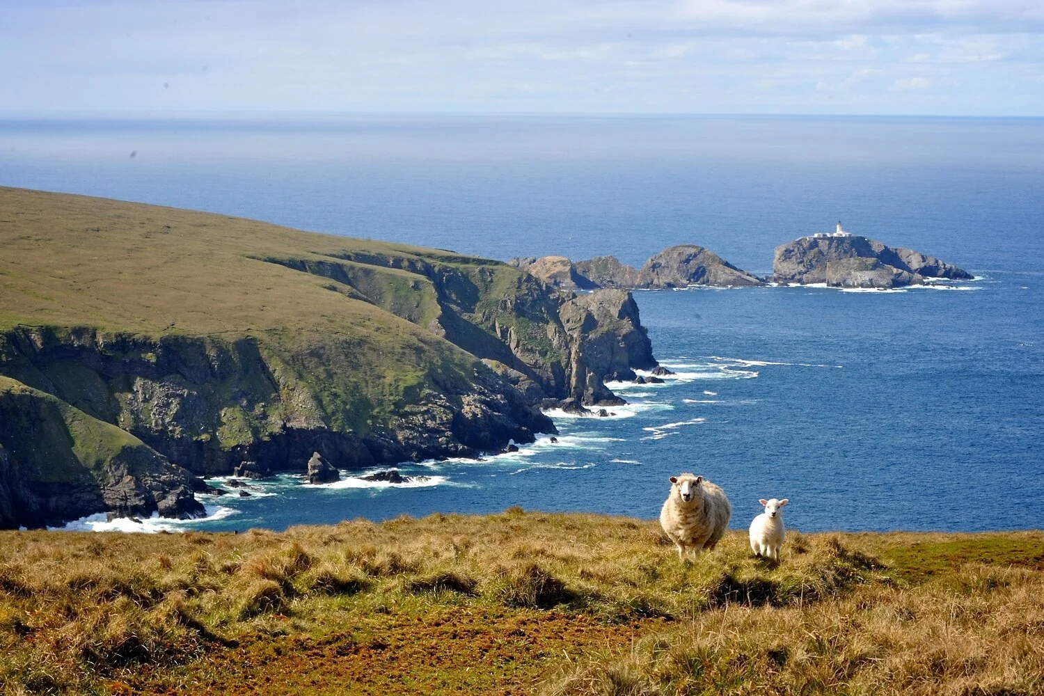 ShetlandsSalmon_++78903.jpg