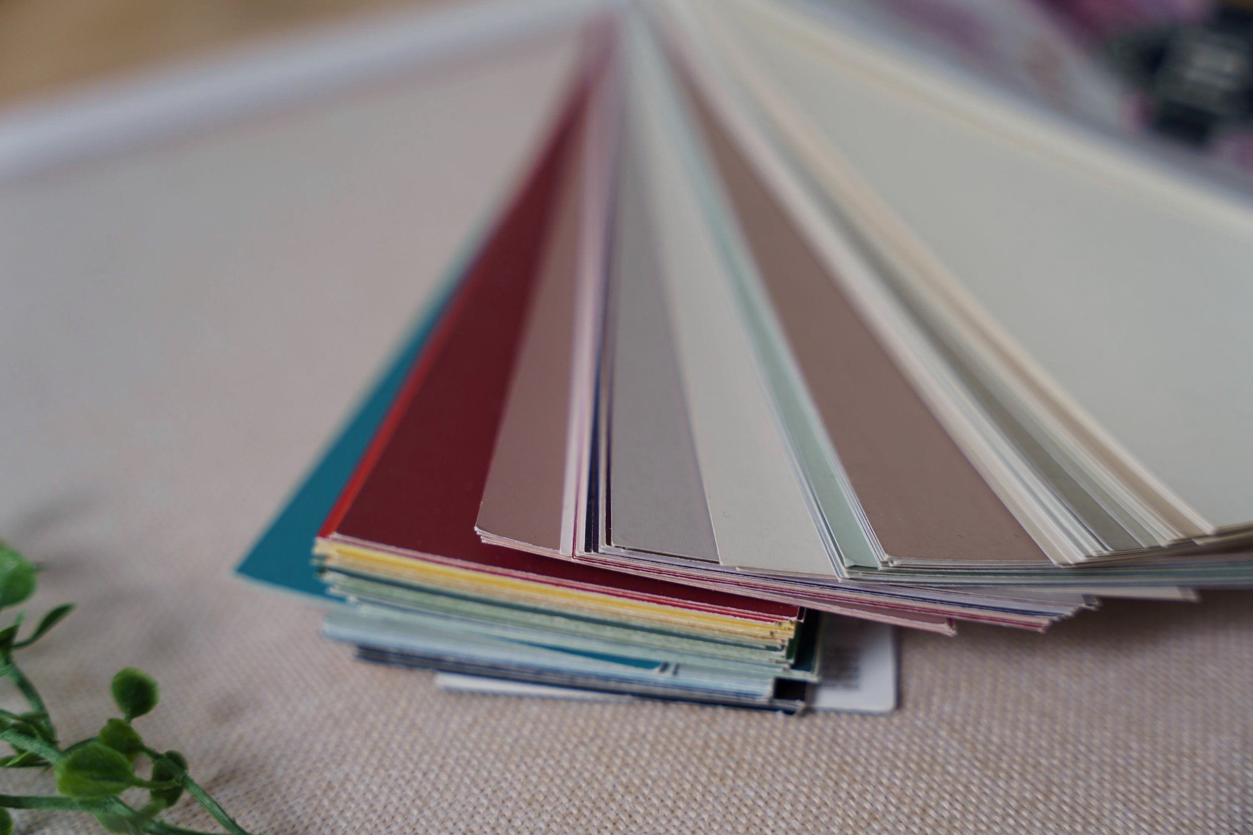 Close-up of color swatches or paint samples fanned out on a table.