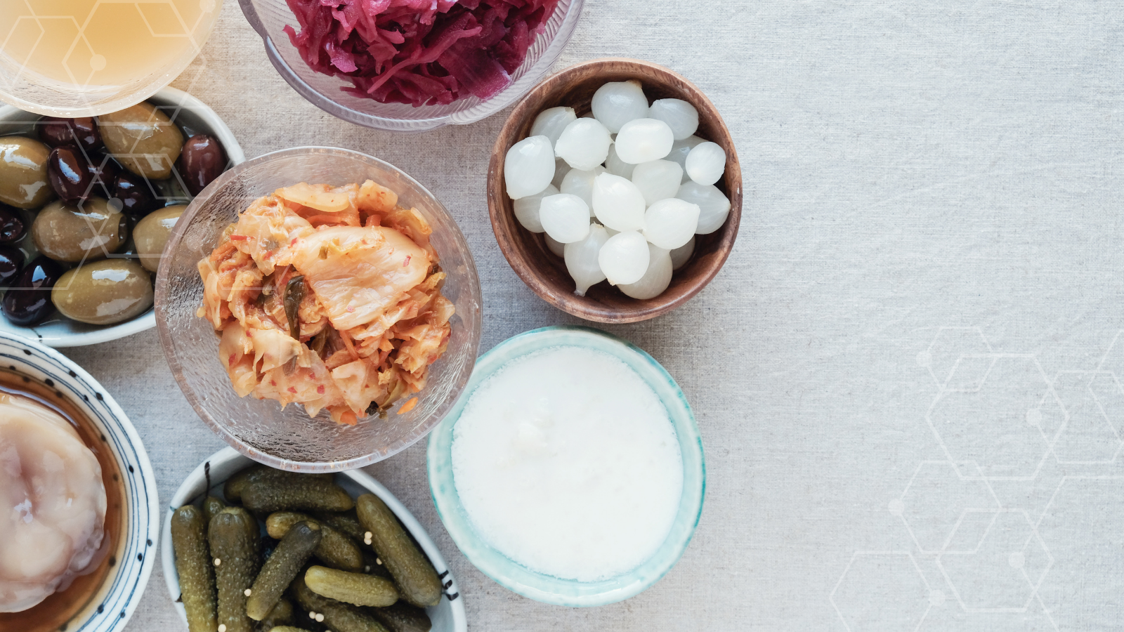 Gut Health 101: How Food Supports Your Digestion