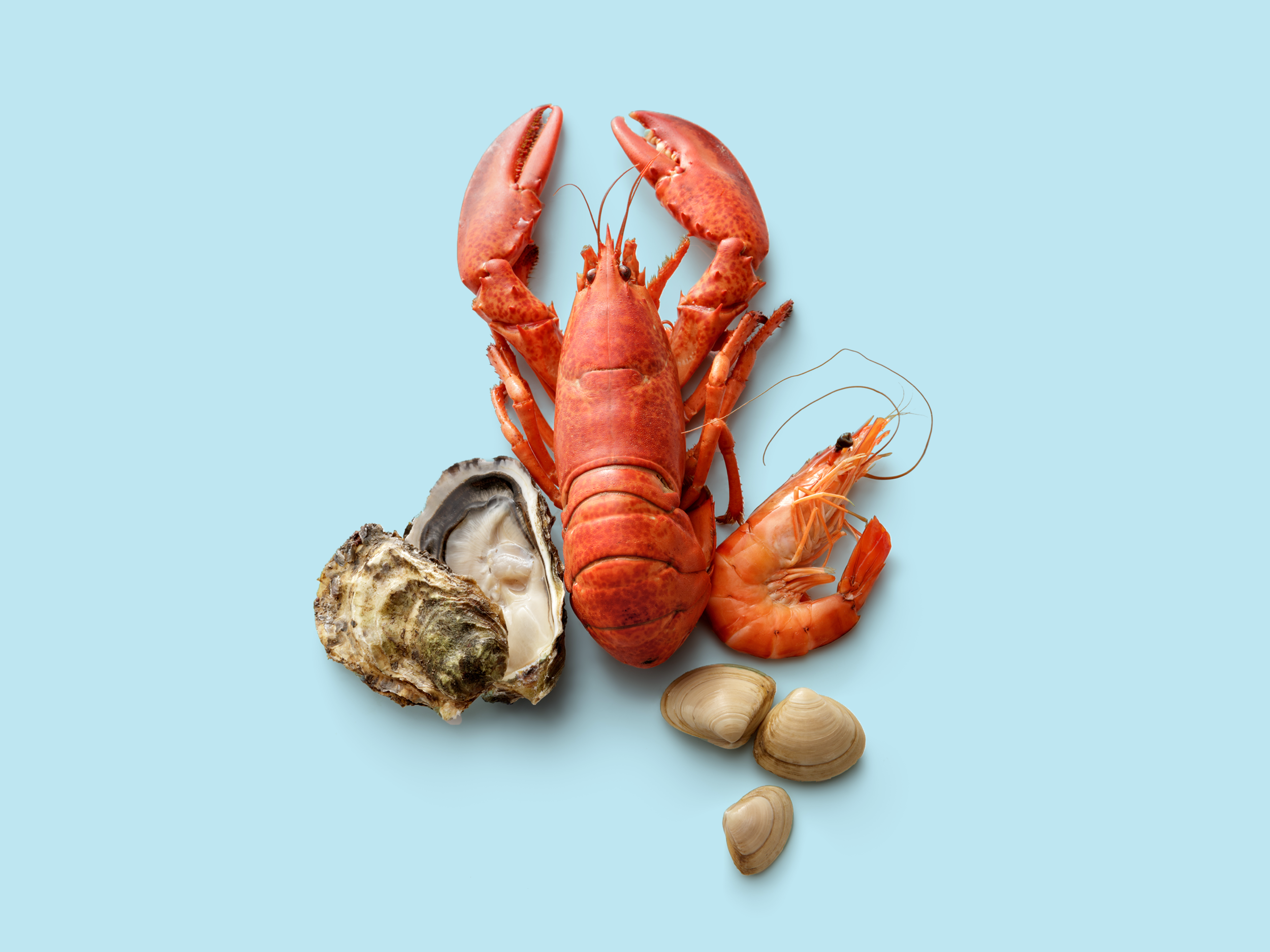 Food & Wine | Millennials Are Really Into Red Lobster