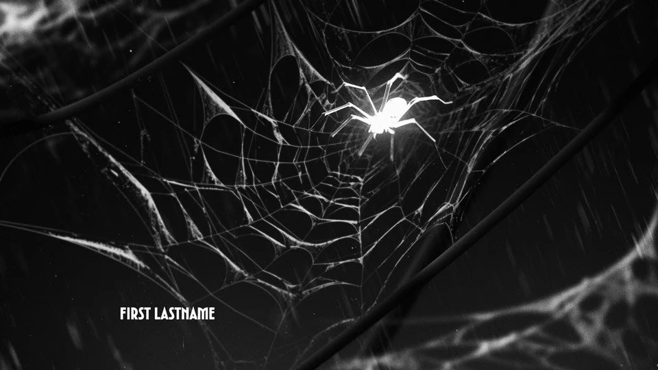011-SpiderWeb-002.jpg