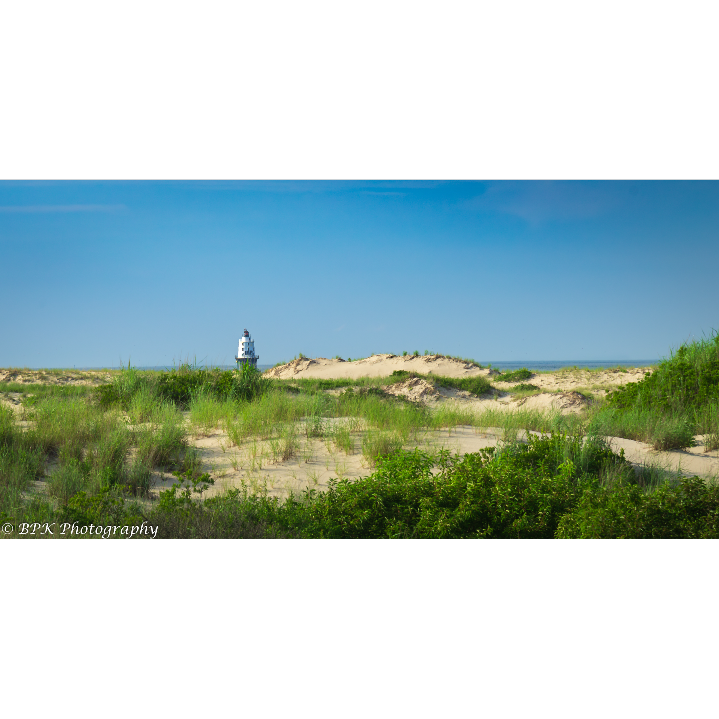 Harbor Refuge Dunes
