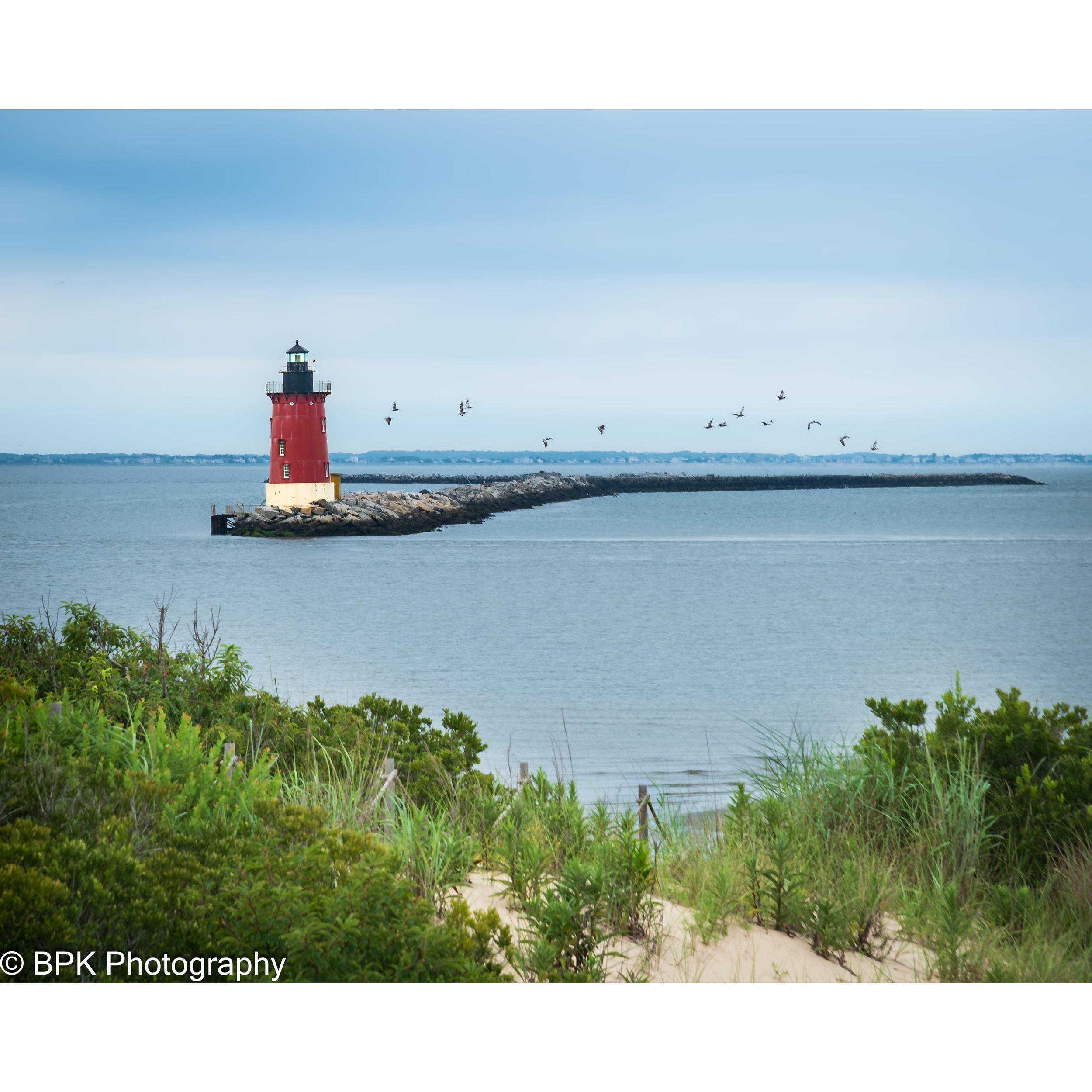 Lighthouse and Pelicans