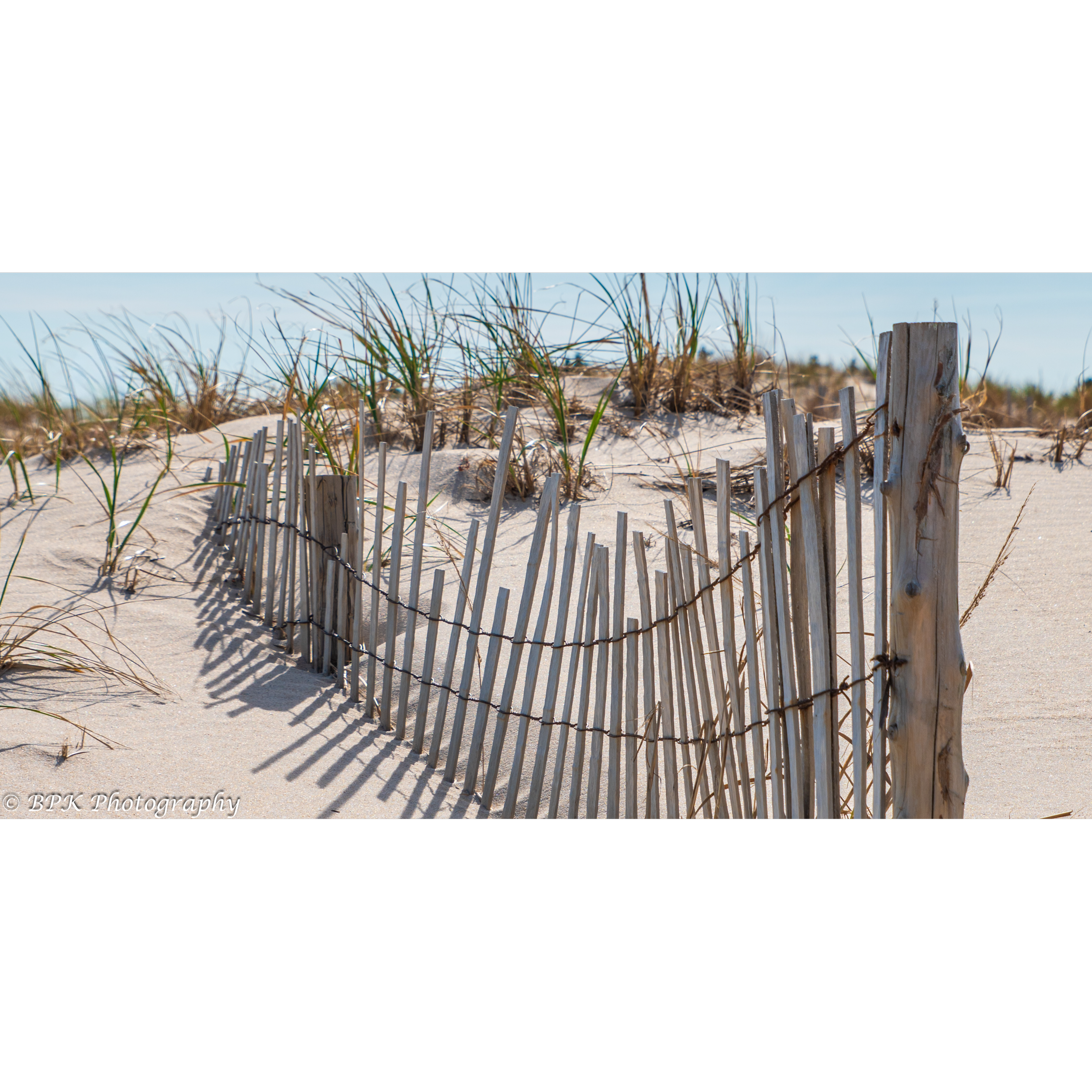Tower Beach Dune Fence