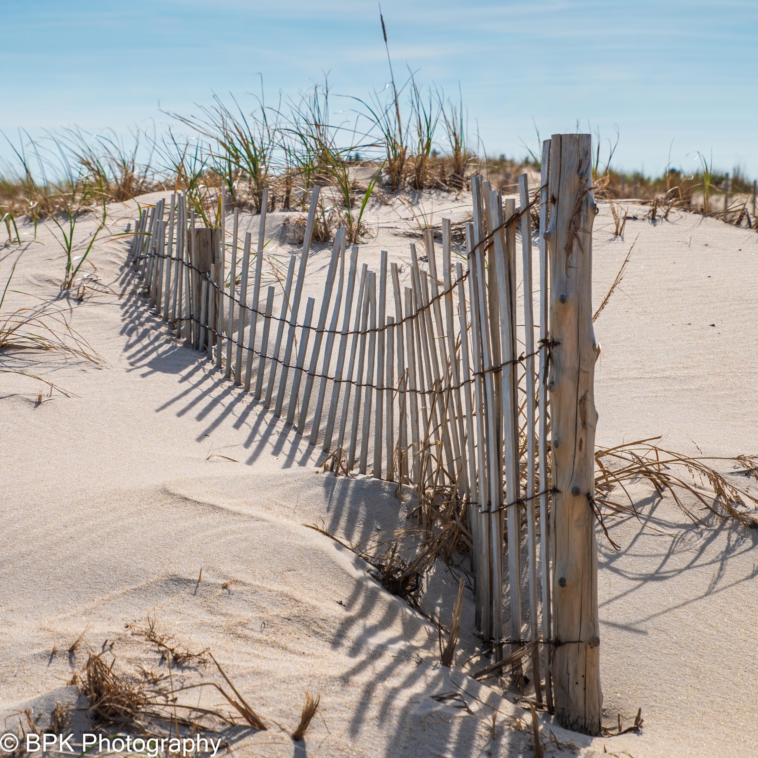 Tower Beach Dune Fence 2