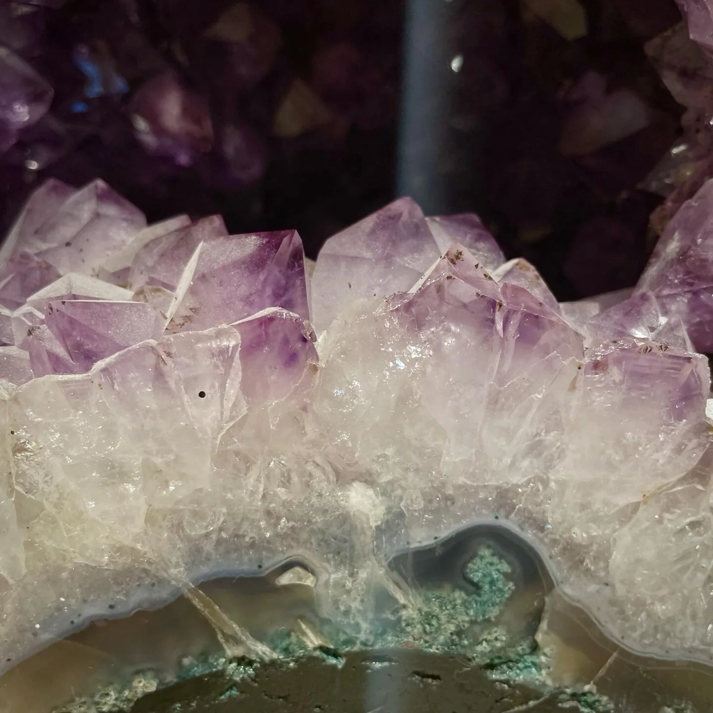 #vibrant @patamga202