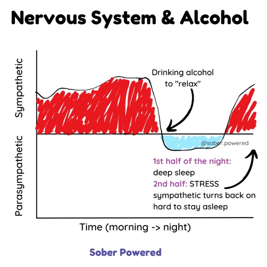 How Alcohol Affects the Nervous System — Sober Powered