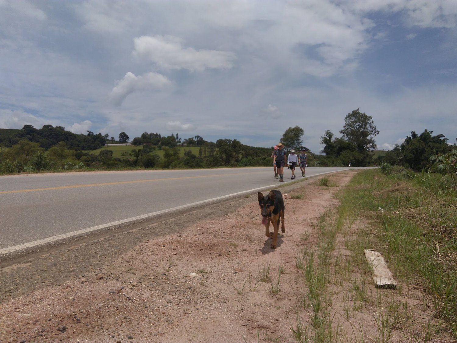First photo of Lucky on the trail in Brazil
