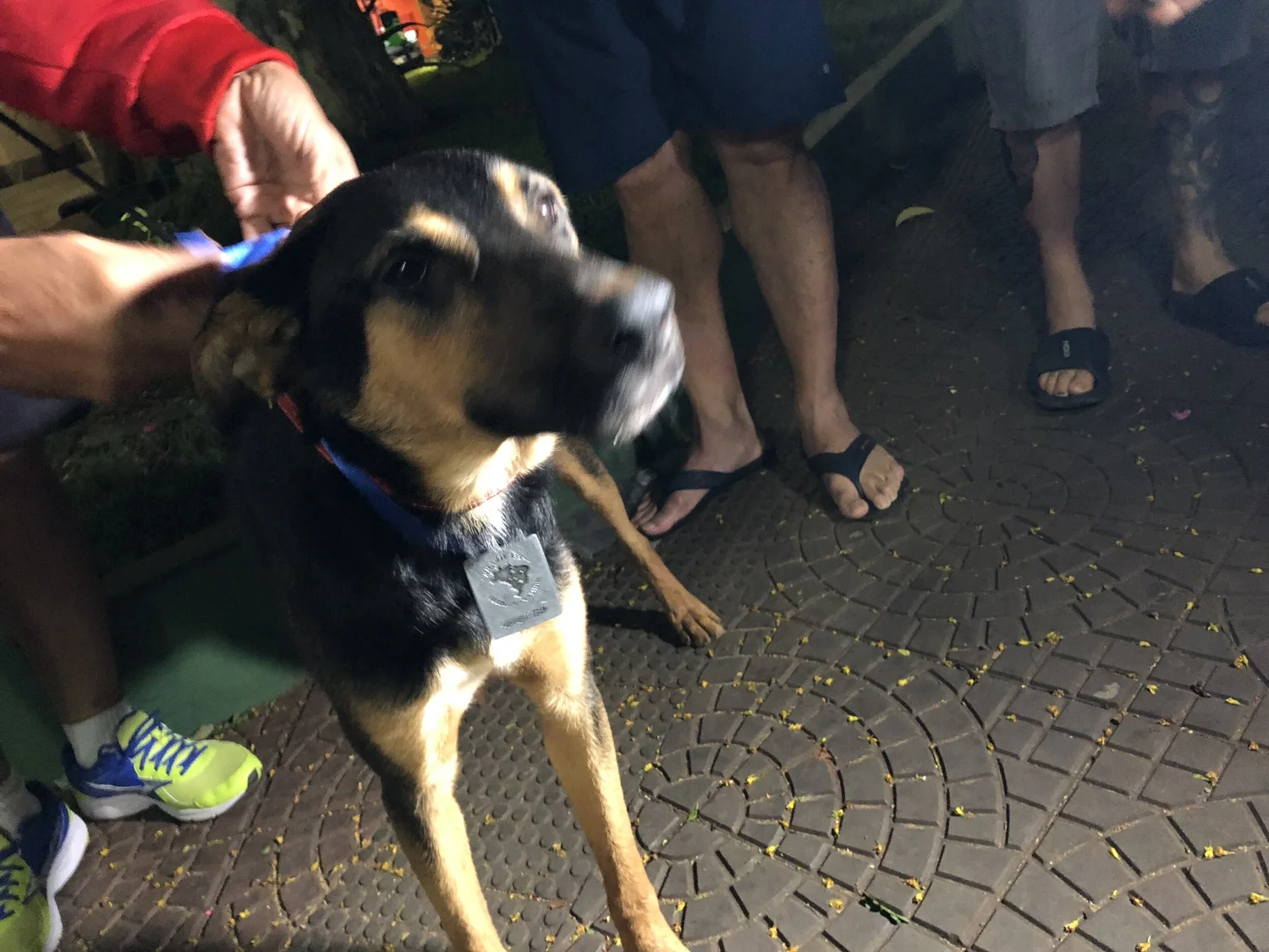 Lucky wearing a finisher's medal at the end of the BR135 ultramarathon