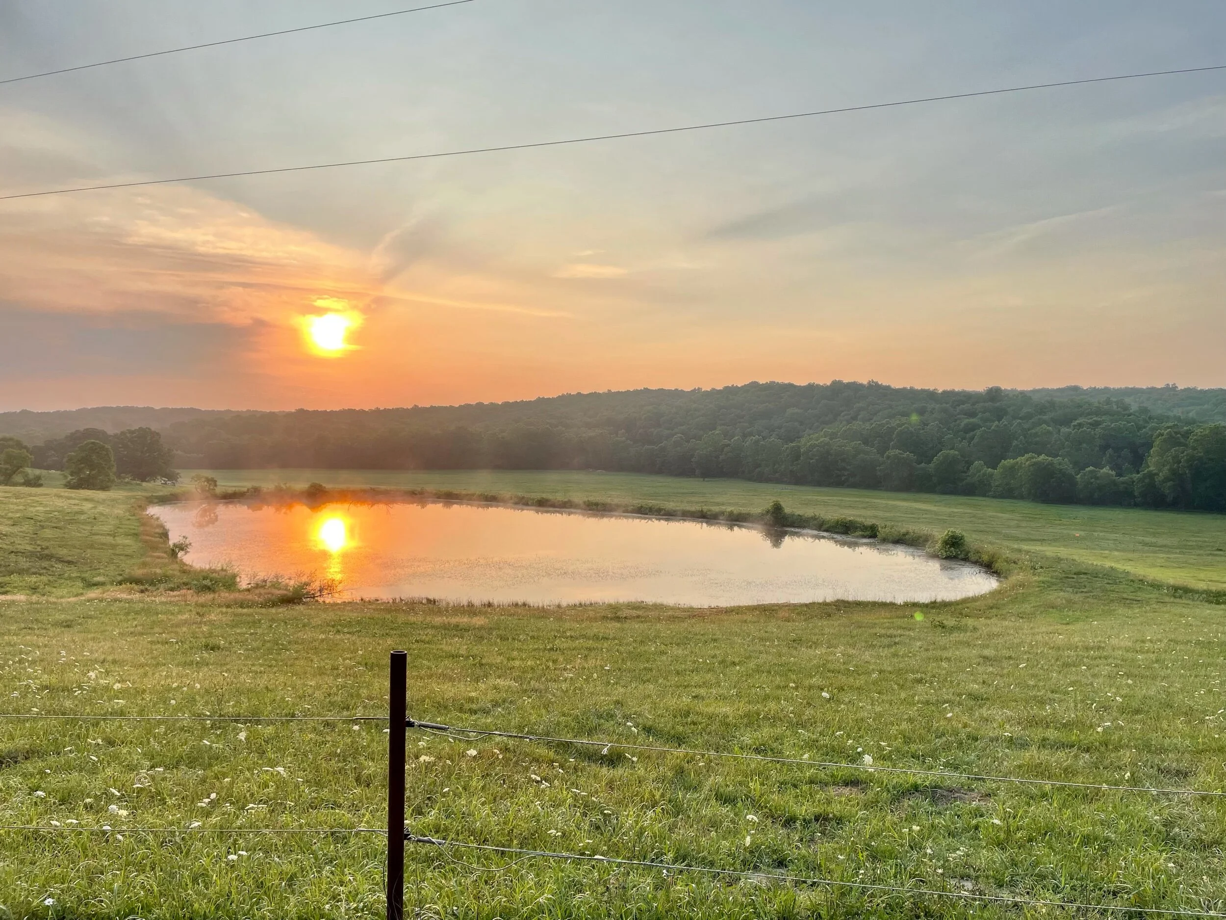 When the sun finally rose, it was magnificent!