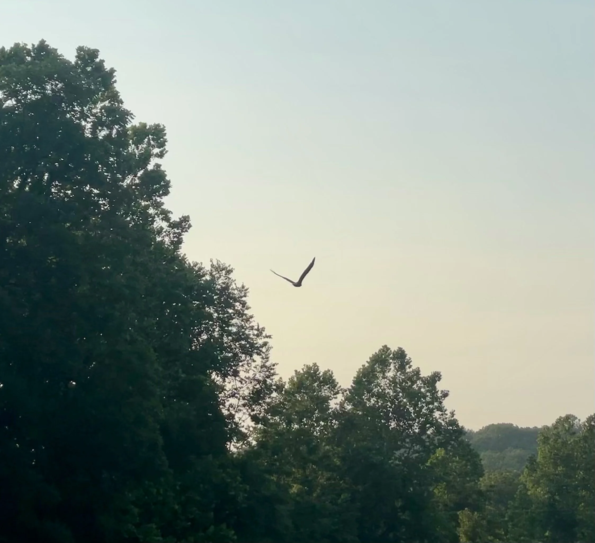 And then off into the distance