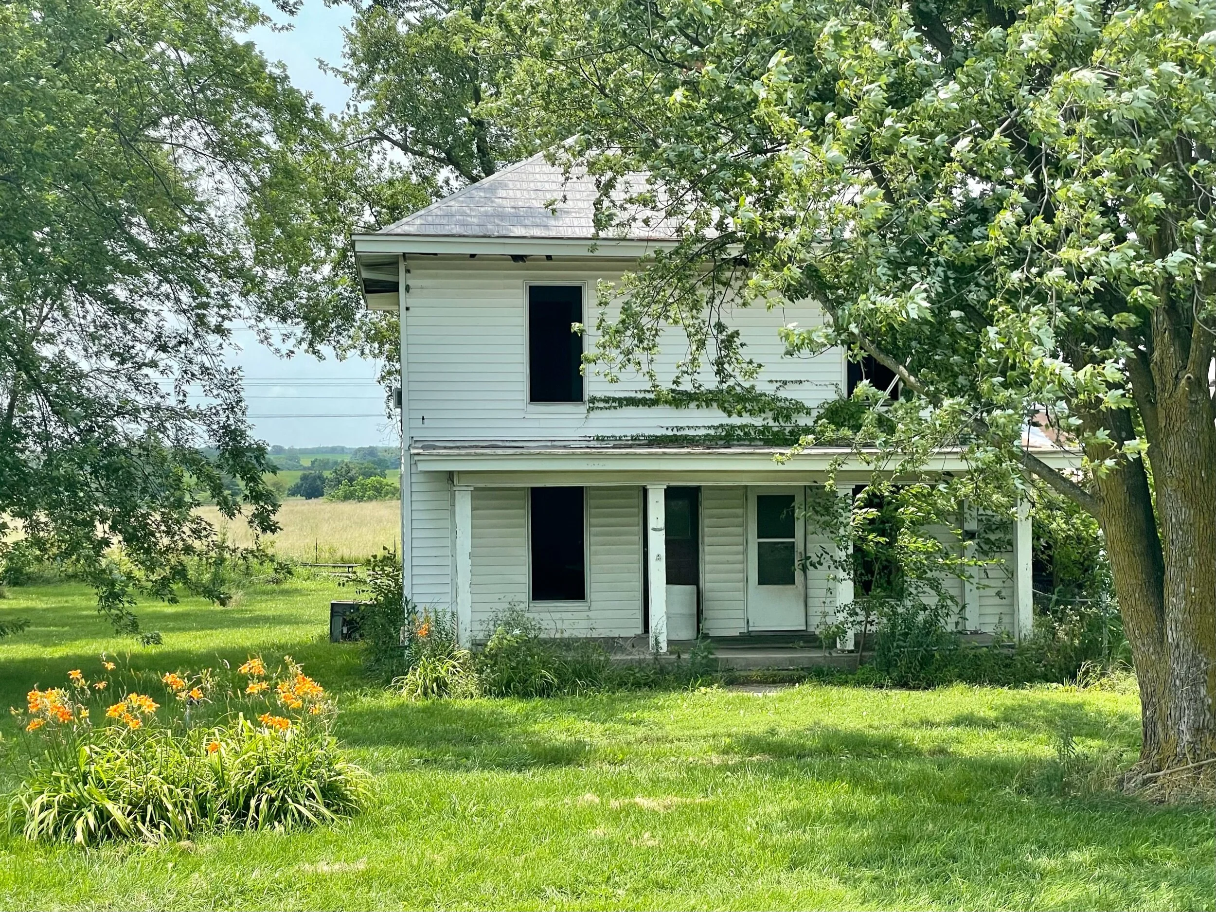 Another abandoned home but the flowers are brilliant.  On our way into town right after we saw a truck lose a big container of herbicide that landed on 2 cars that then crashed.  There was a lot of commotion and Bob and I were first on the scene.  I offered phone and any help they needed but the driver of the truck returned to the scene and police and rescue all showed up within 5 minutes - this is how it should always be in an accident, everyone helping each other.