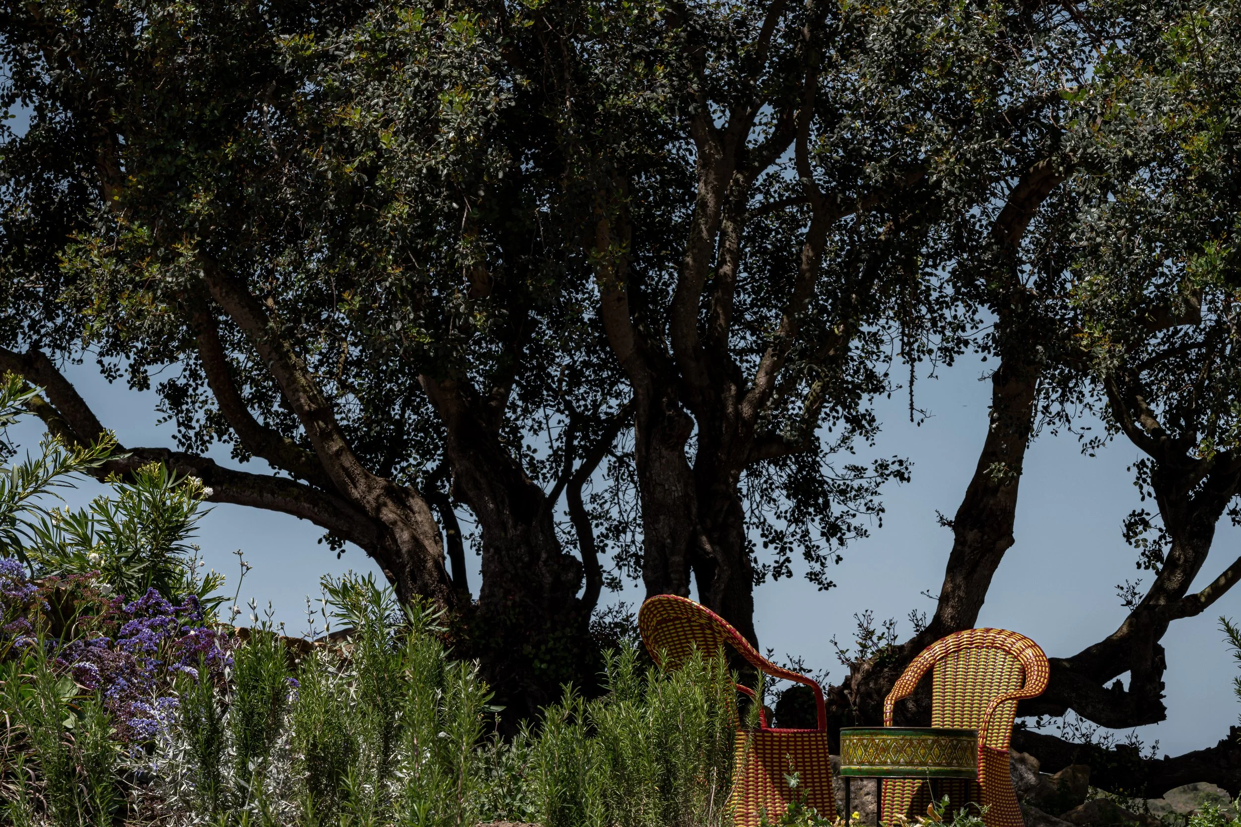 la fiermontina ocean @ mrtripper-26.jpg