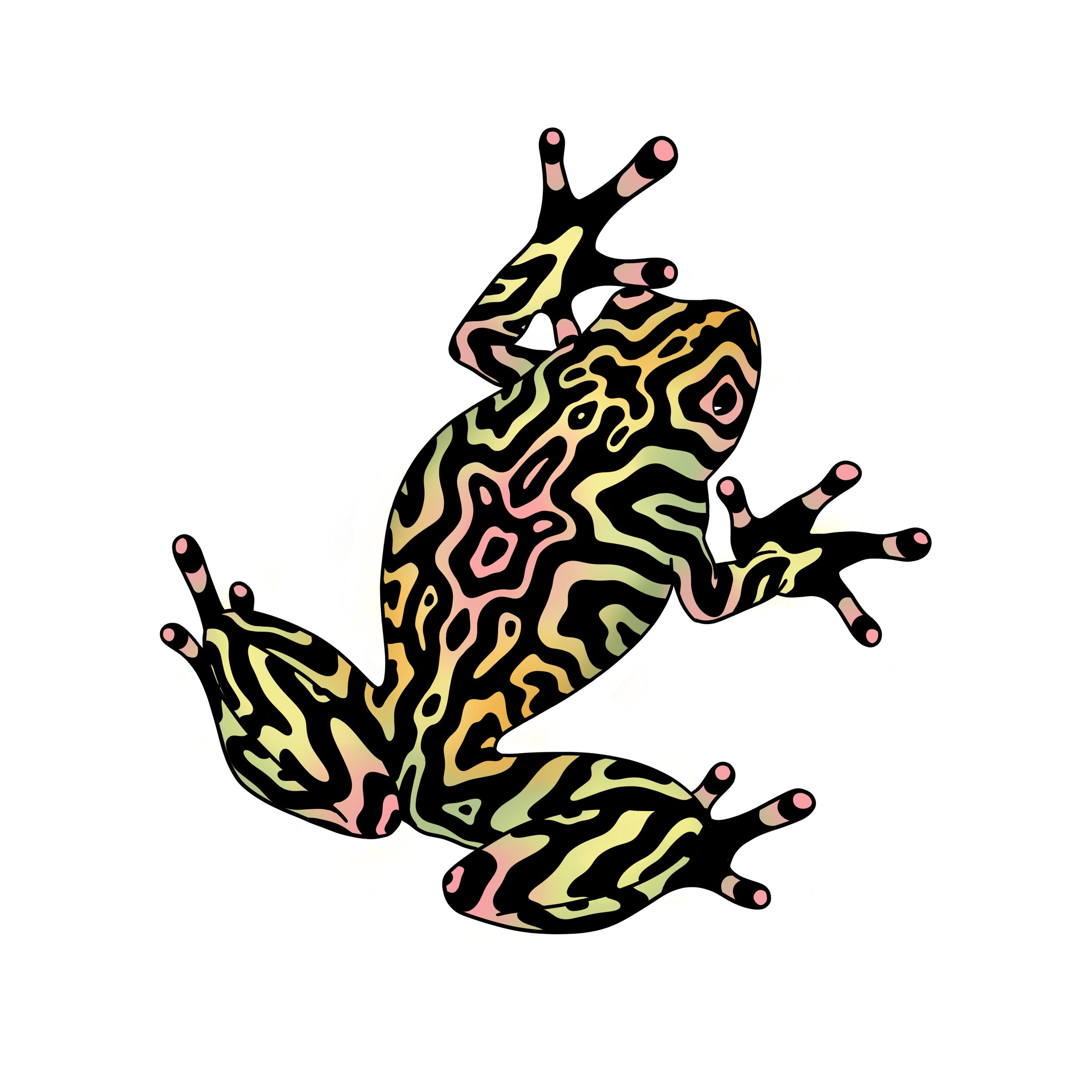 Frog2.jpg