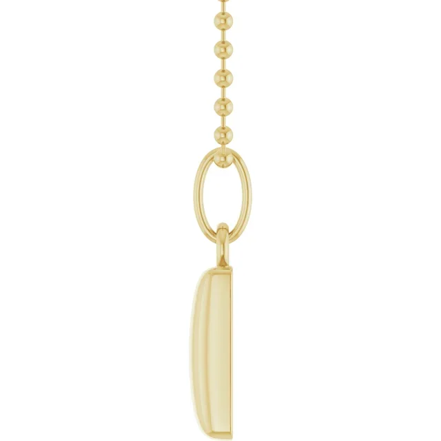 Engravable Puffed Dog Tag 18" Necklace.webp