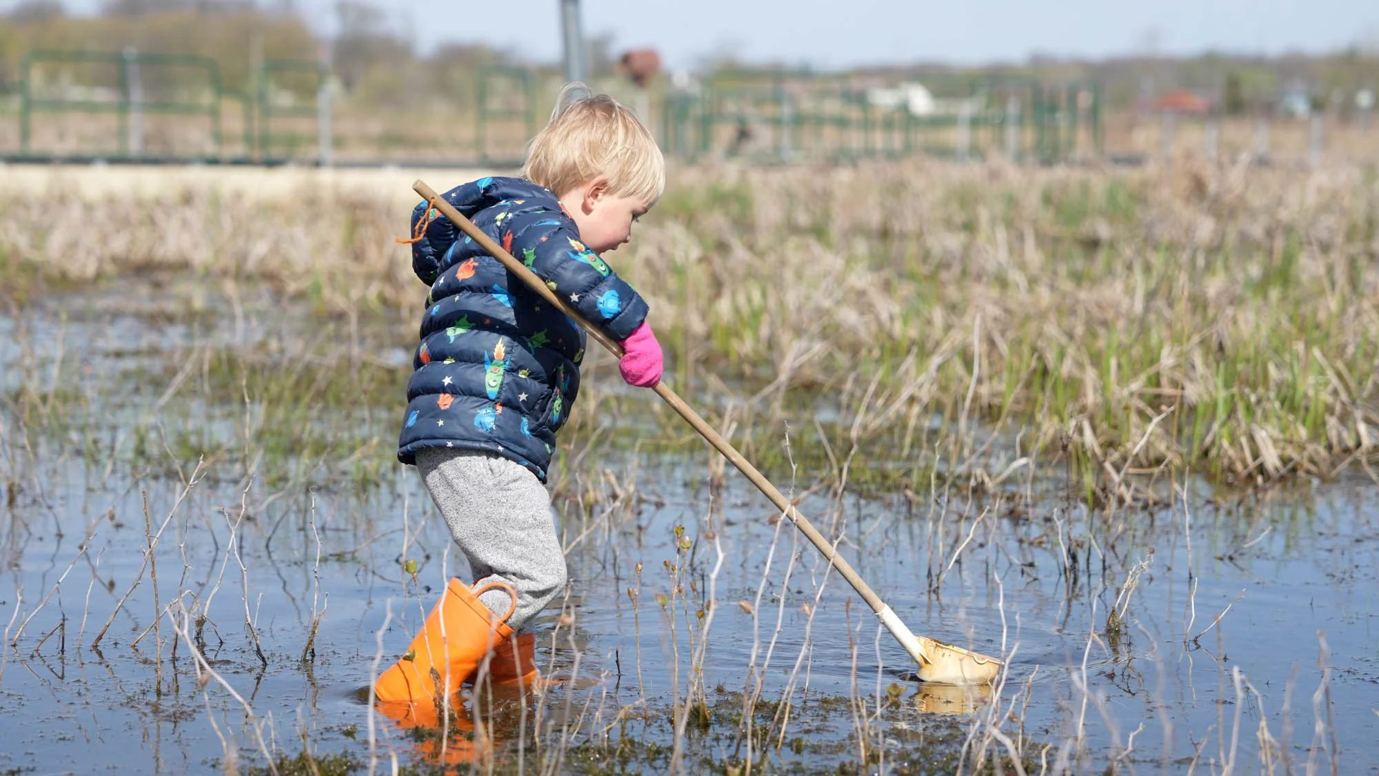 FFDN-Grantee-Little-River-Wetlands_77-Selects-web-res.jpg